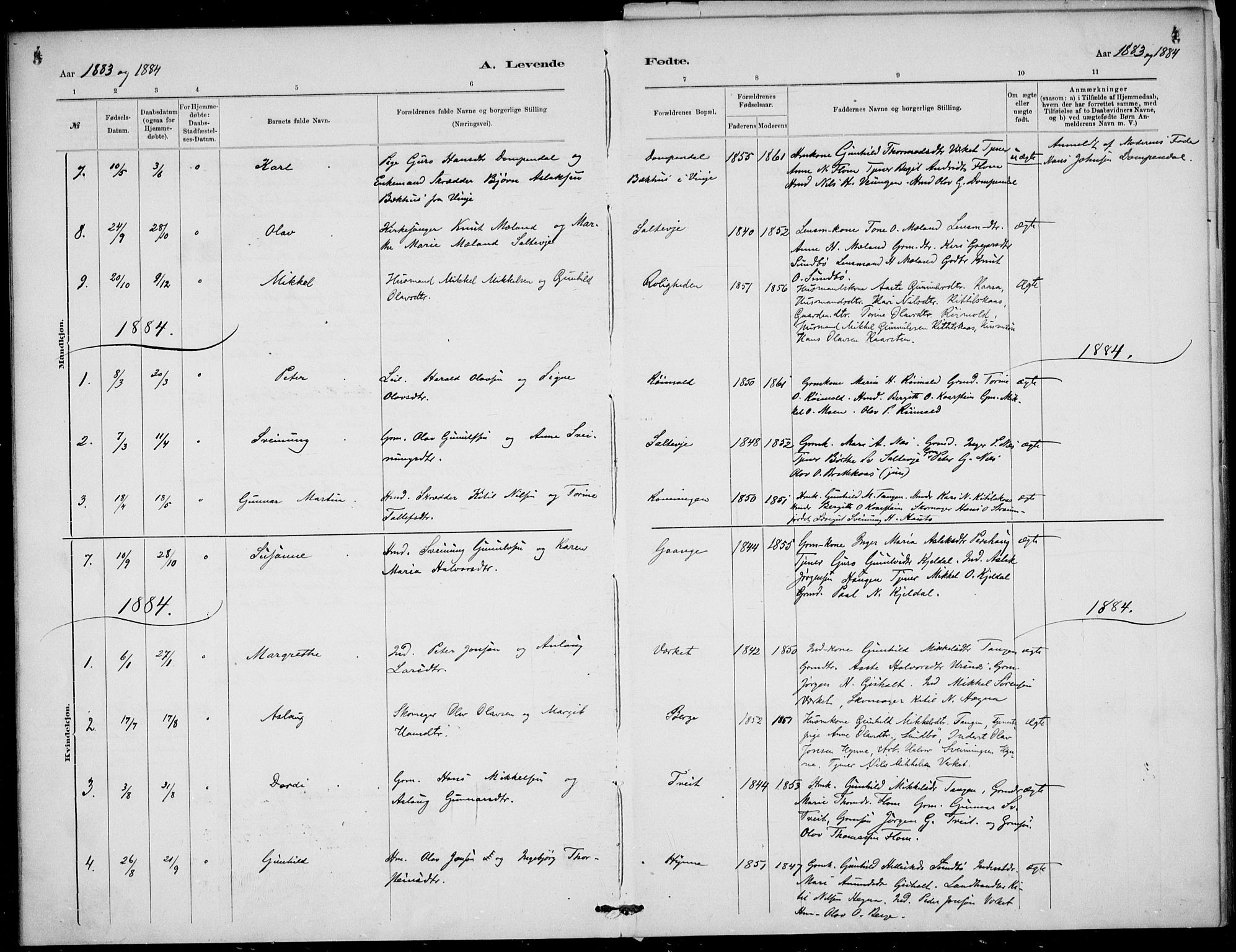 Lunde kirkebøker, AV/SAKO-A-282/F/Fb/L0003: Parish register (official) no. II 3, 1882-1891, p. 3