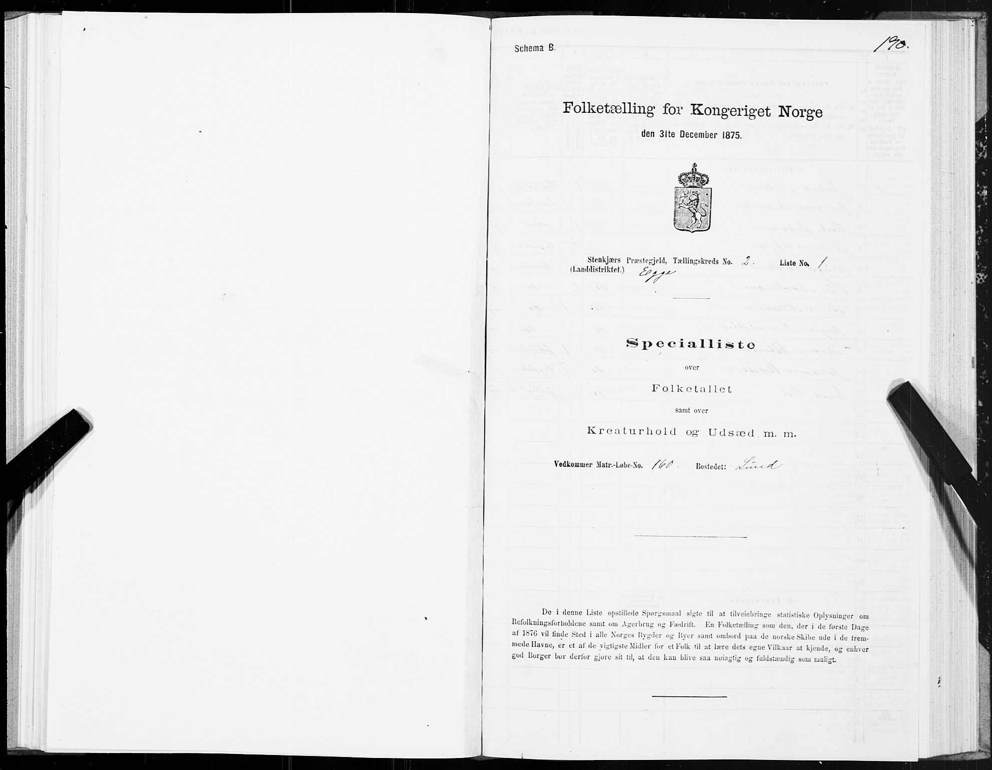 SAT, 1875 census for 1733L Steinkjer/Egge, 1875, p. 1190