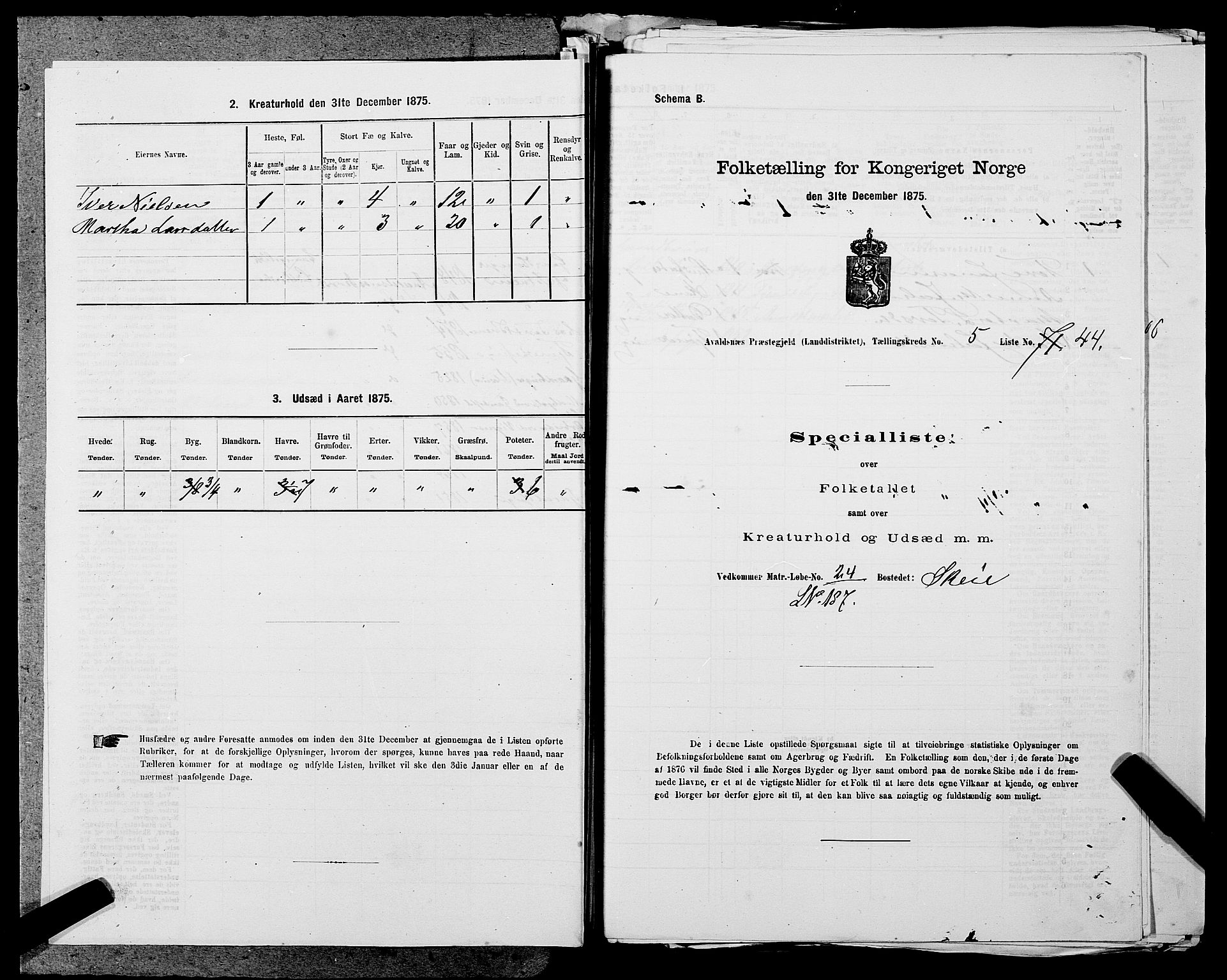 SAST, 1875 census for 1147L Avaldsnes/Avaldsnes og Kopervik, 1875, p. 756