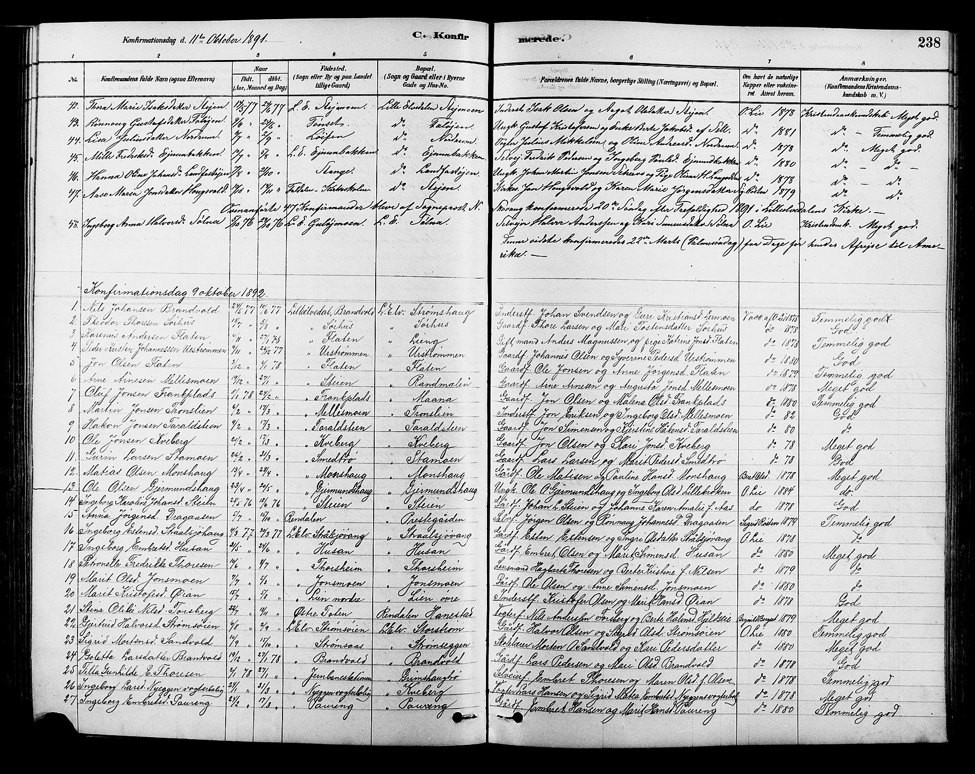 Alvdal prestekontor, SAH/PREST-060/H/Ha/Hab/L0003: Parish register (copy) no. 3, 1878-1907, p. 238
