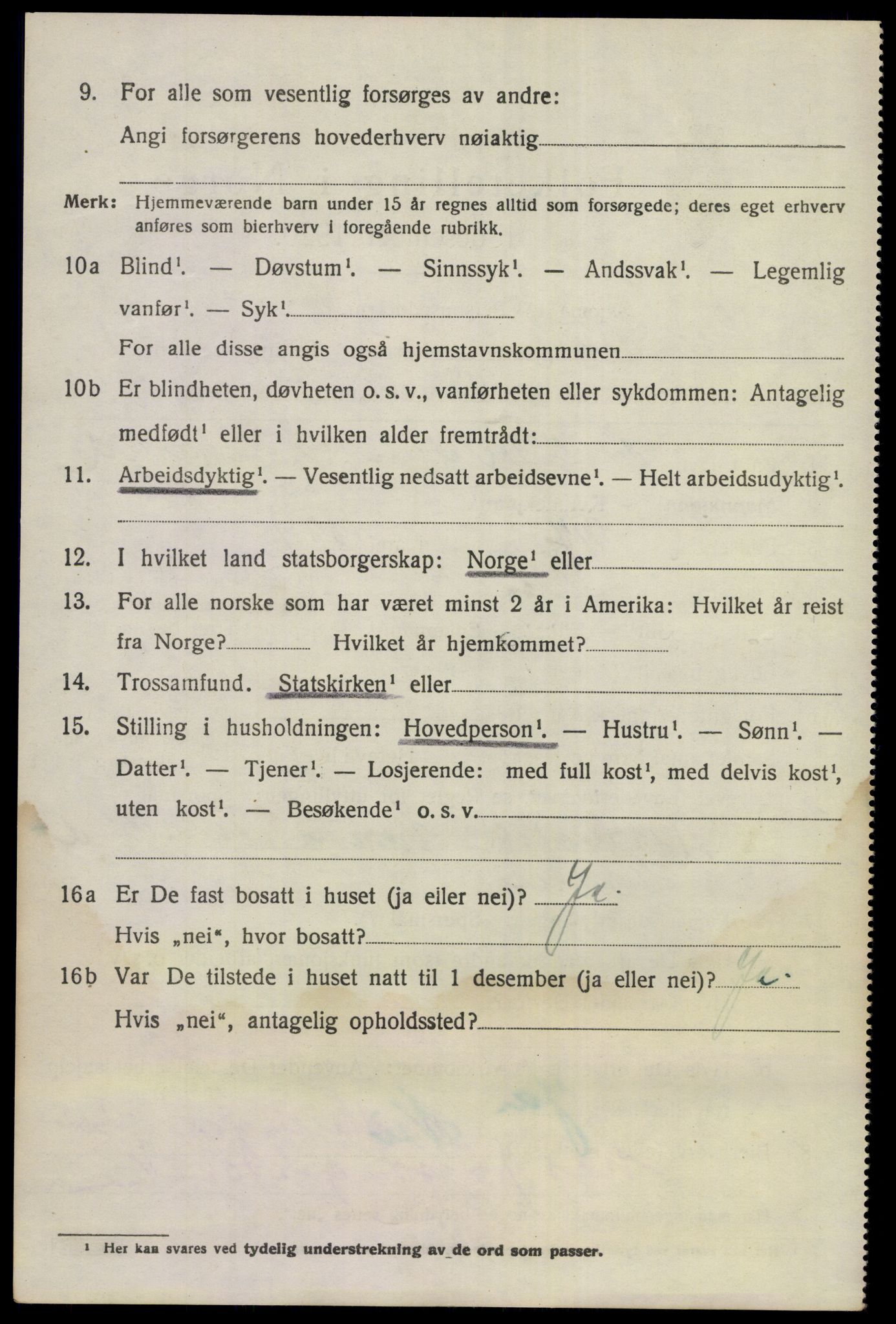 SAKO, 1920 census for Nes (Buskerud), 1920, p. 4343