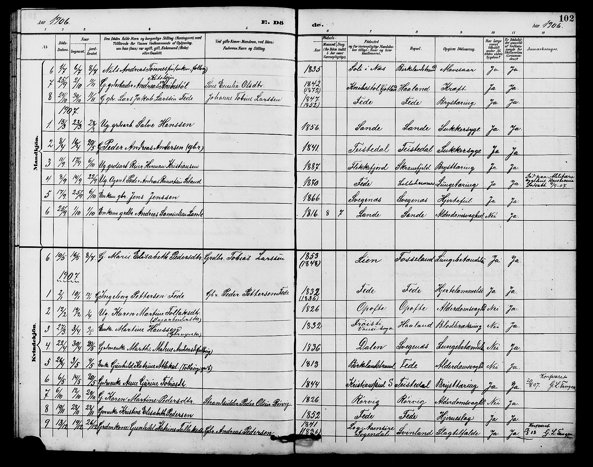 Kvinesdal sokneprestkontor, SAK/1111-0026/F/Fb/Fba/L0004: Parish register (copy) no. B 4, 1894-1909, p. 102