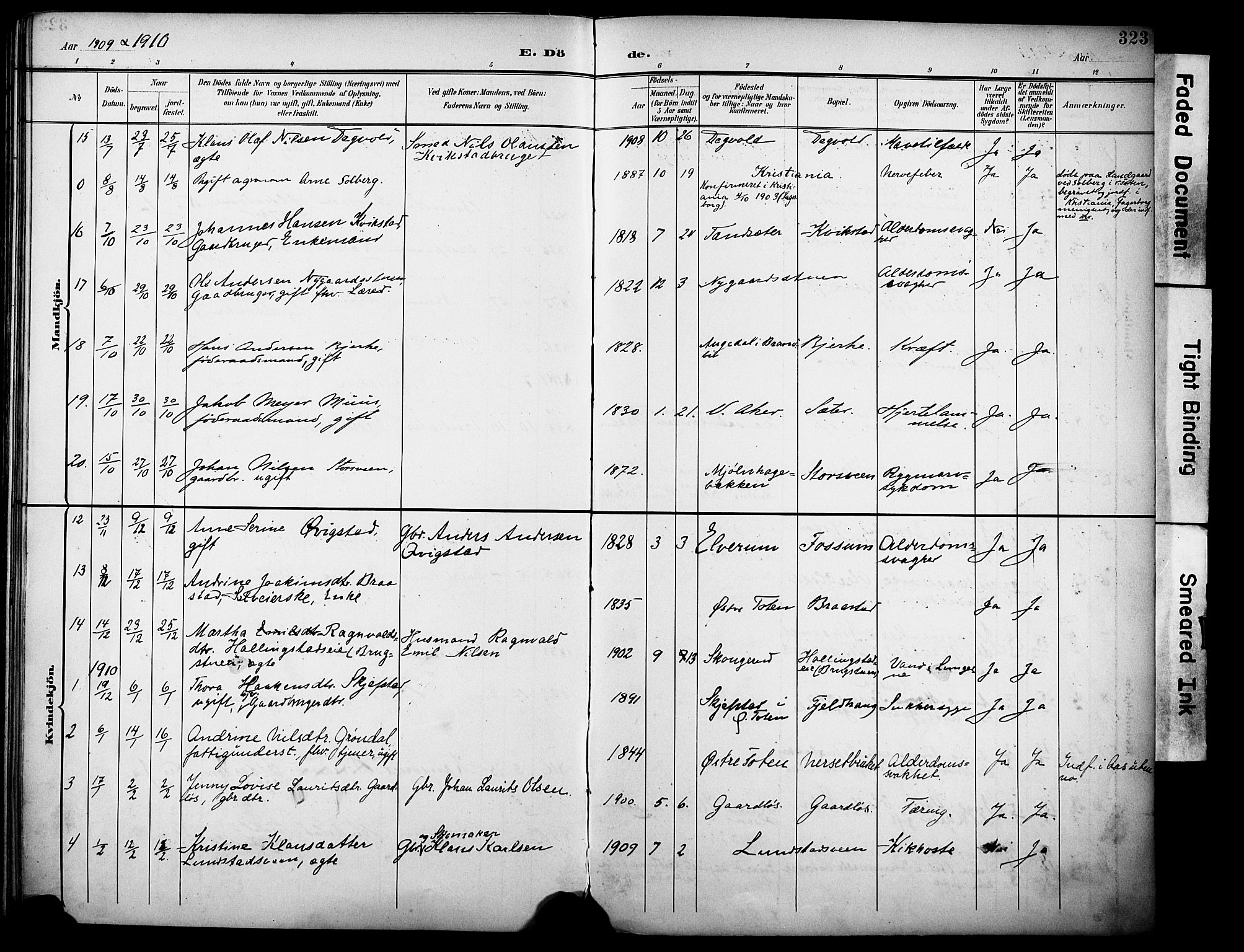 Vestre Toten prestekontor, SAH/PREST-108/H/Ha/Haa/L0013: Parish register (official) no. 13, 1895-1911, p. 323