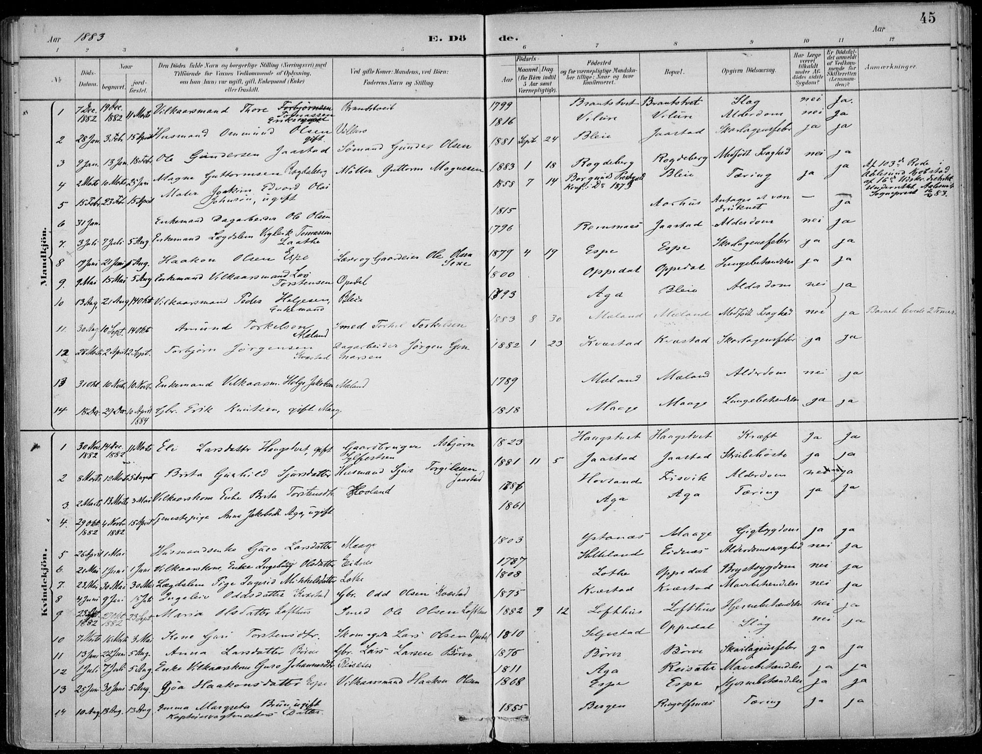 Ullensvang sokneprestembete, SAB/A-78701/H/Haa: Parish register (official) no. B  3, 1882-1911, p. 45