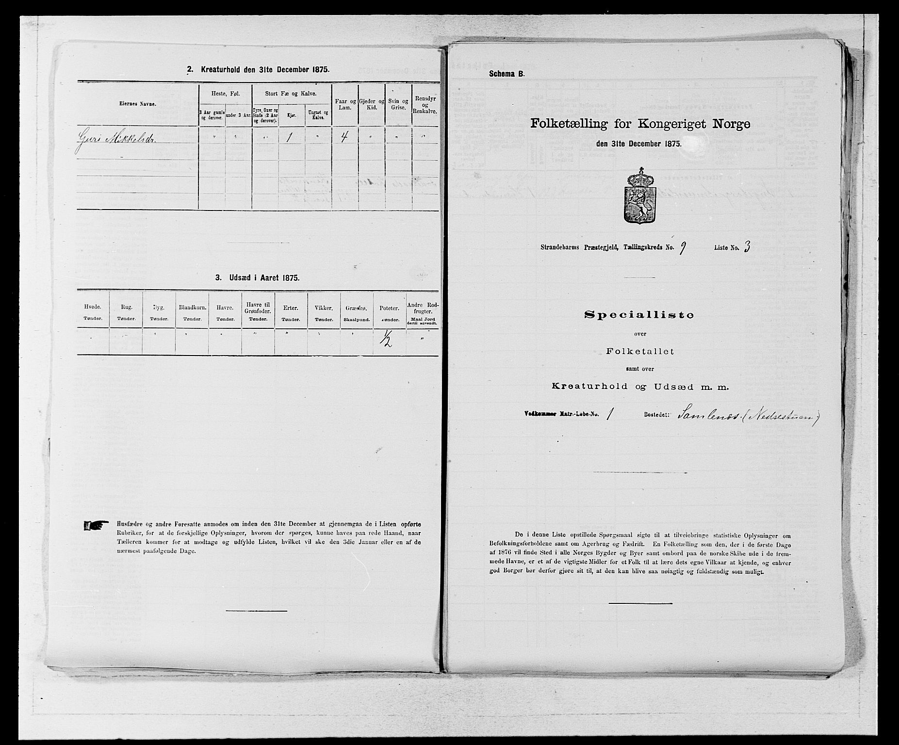 SAB, 1875 census for 1226P Strandebarm, 1875, p. 1169