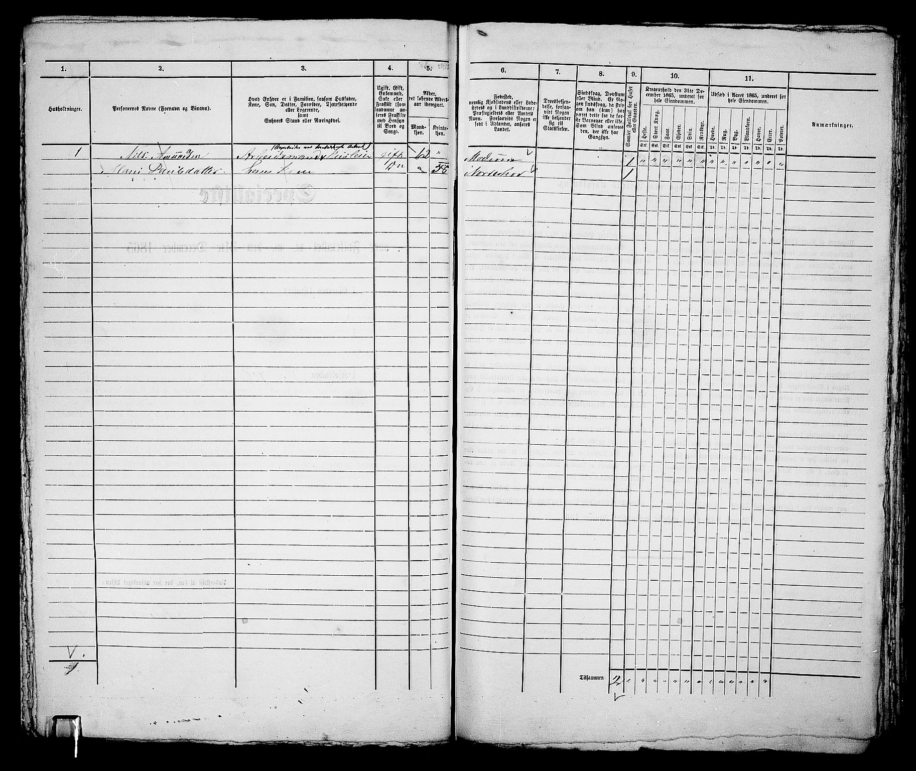 RA, 1865 census for Norderhov/Hønefoss, 1865, p. 196