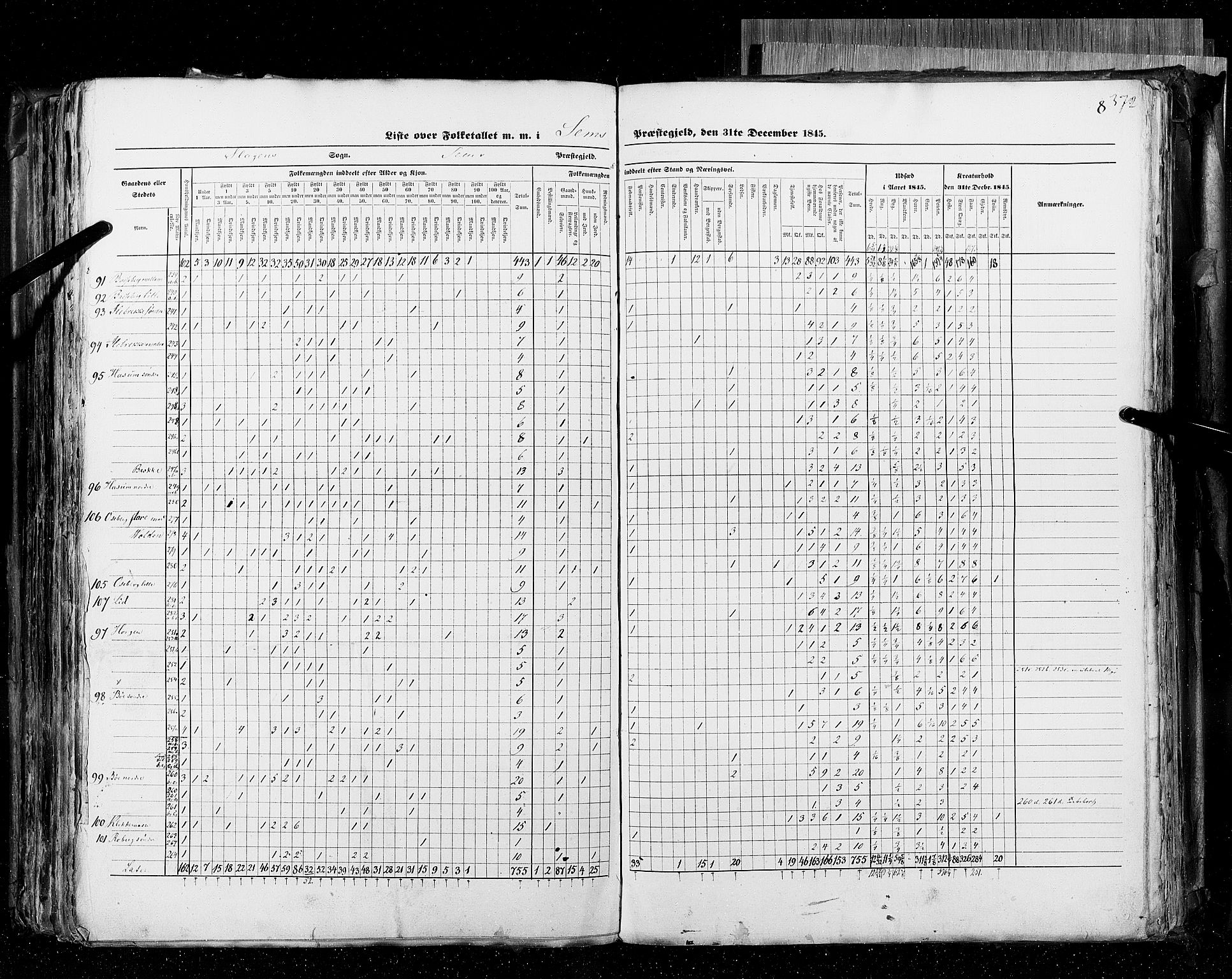 RA, Census 1845, vol. 4: Buskerud amt og Jarlsberg og Larvik amt, 1845, p. 372