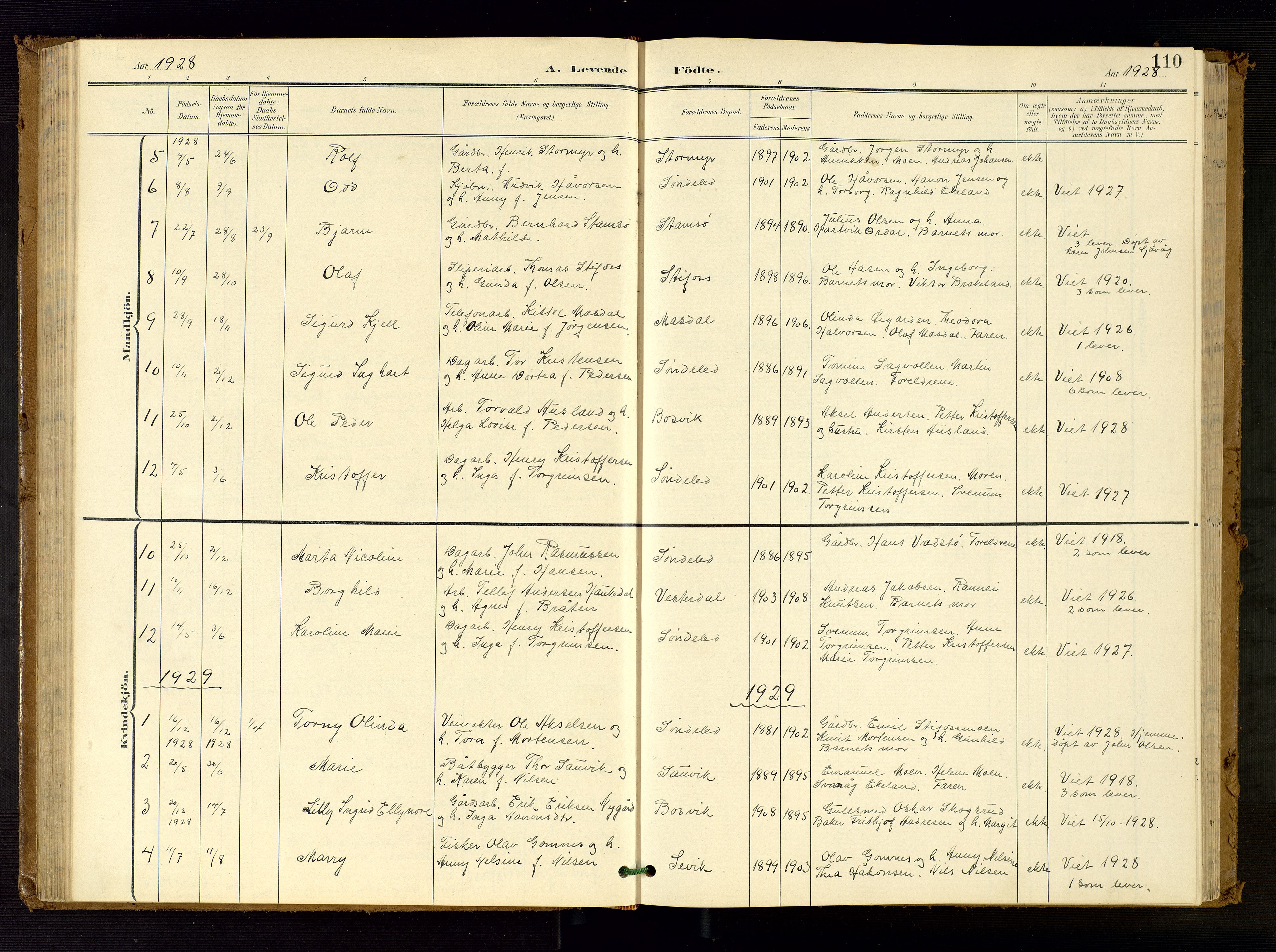 Søndeled sokneprestkontor, AV/SAK-1111-0038/F/Fb/L0005: Parish register (copy) no. B 6, 1900-1962, p. 110