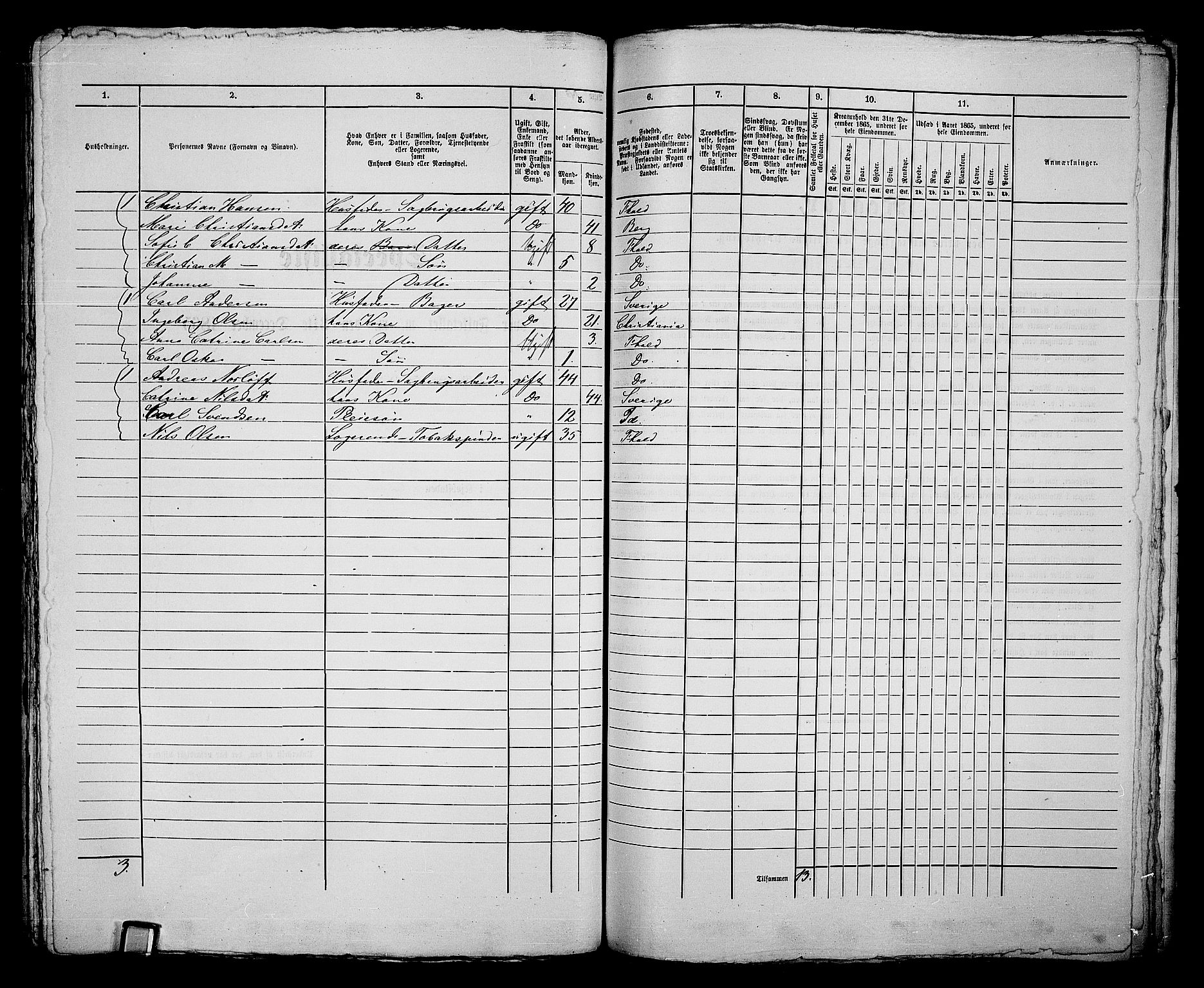 RA, 1865 census for Fredrikshald, 1865, p. 262