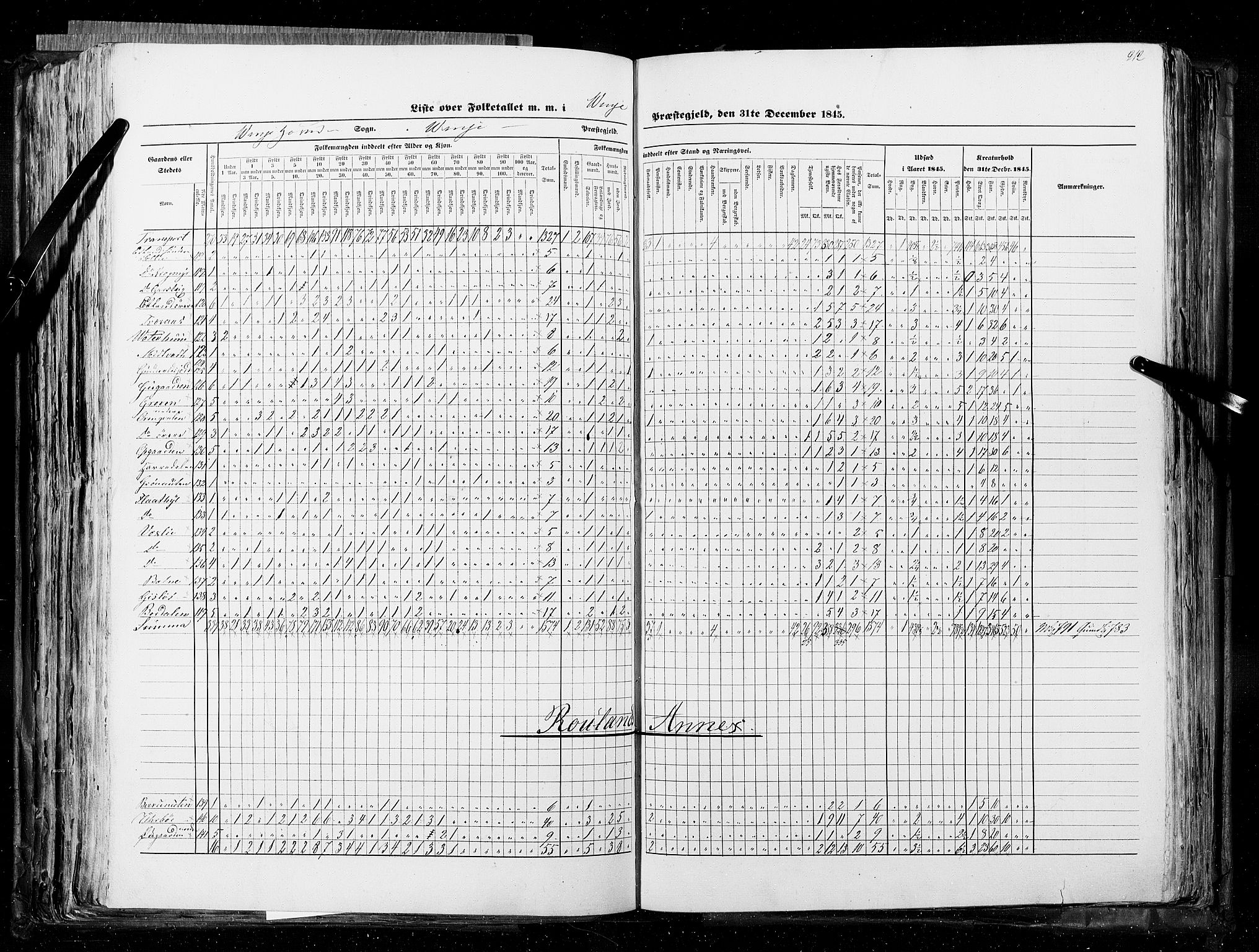 RA, Census 1845, vol. 5: Bratsberg amt og Nedenes og Råbyggelaget amt, 1845, p. 212