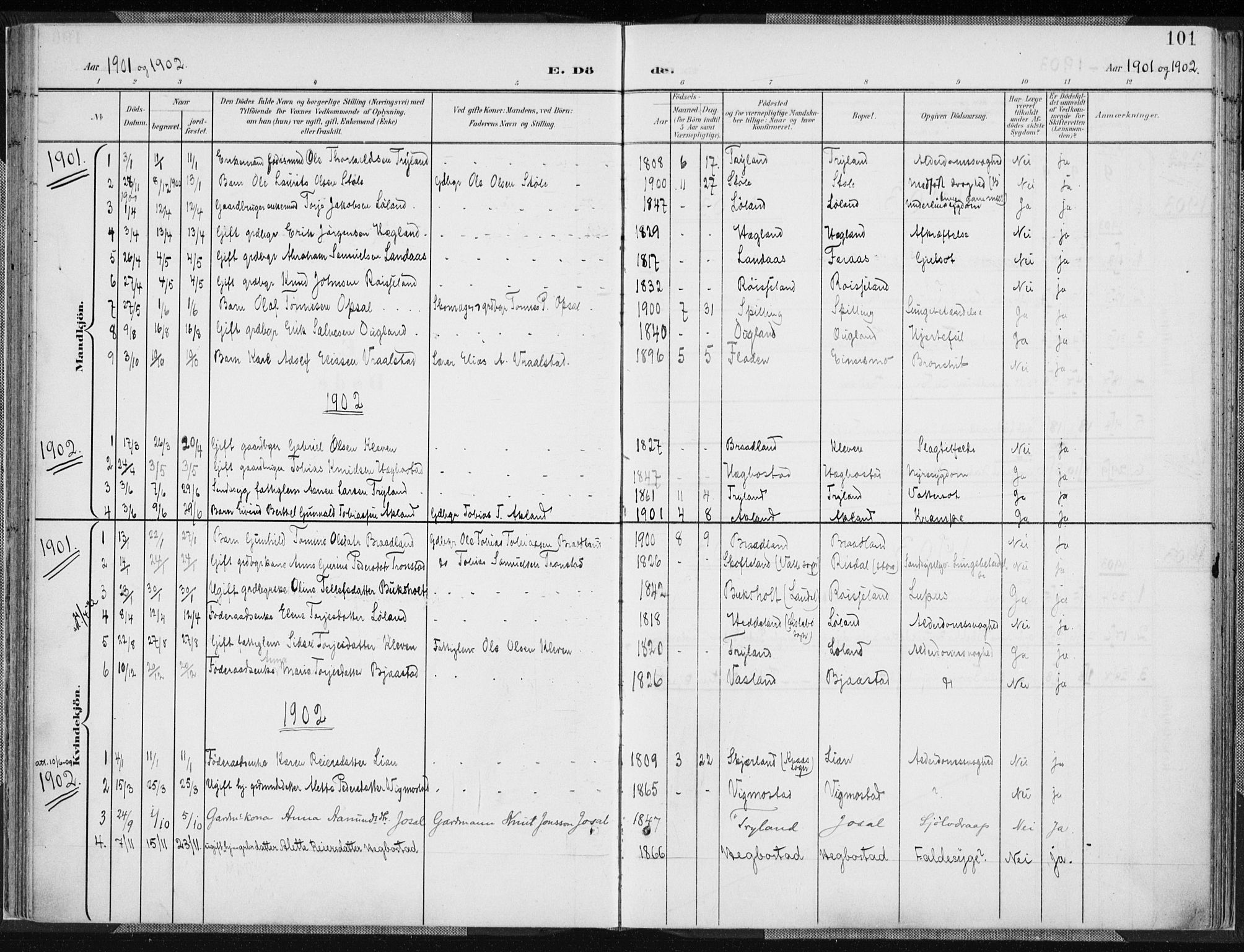 Nord-Audnedal sokneprestkontor, SAK/1111-0032/F/Fa/Fab/L0004: Parish register (official) no. A 4, 1901-1917, p. 101