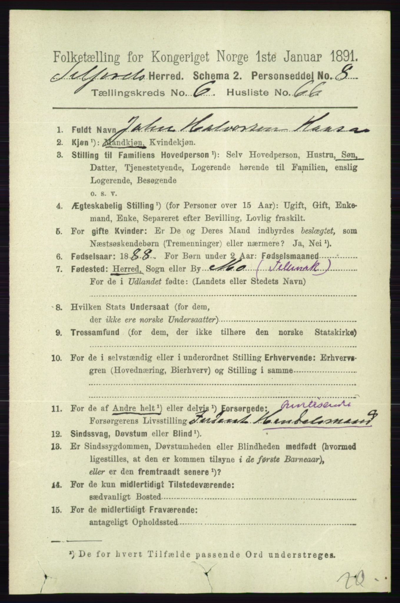 RA, 1891 census for 0828 Seljord, 1891, p. 2556