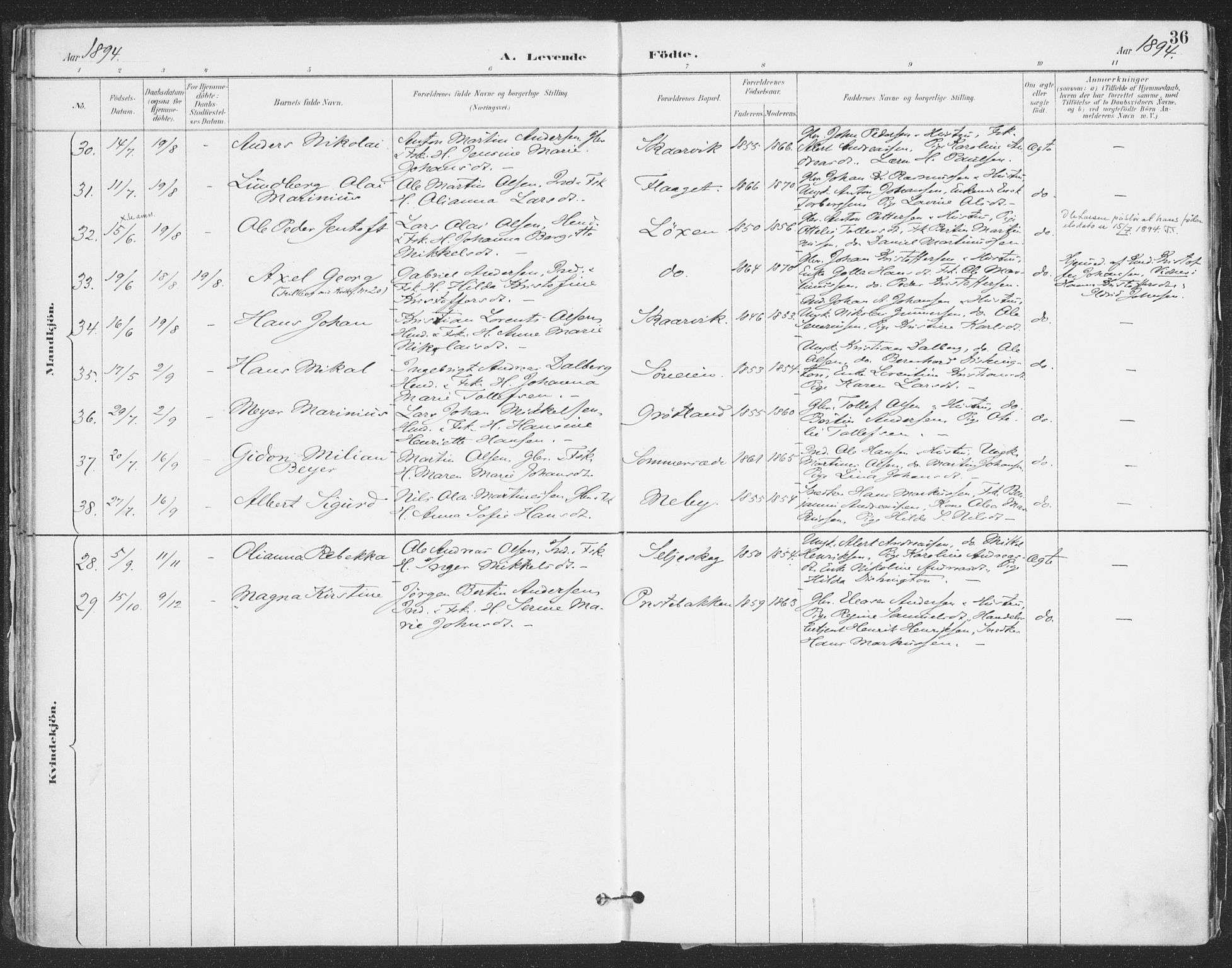 Ibestad sokneprestembete, AV/SATØ-S-0077/H/Ha/Haa/L0015kirke: Parish register (official) no. 15, 1888-1899, p. 36