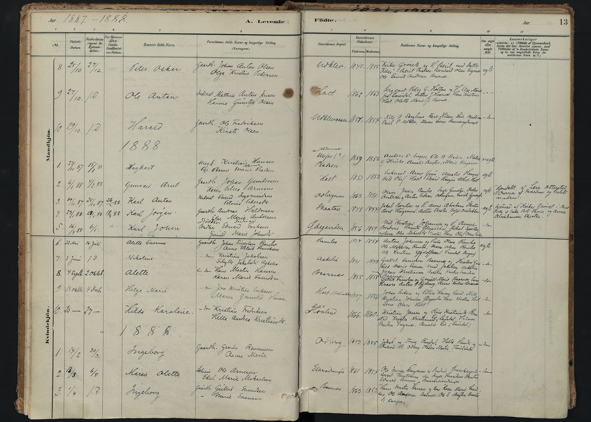 Hedrum kirkebøker, SAKO/A-344/F/Fc/L0001: Parish register (official) no. III 1, 1881-1906, p. 13