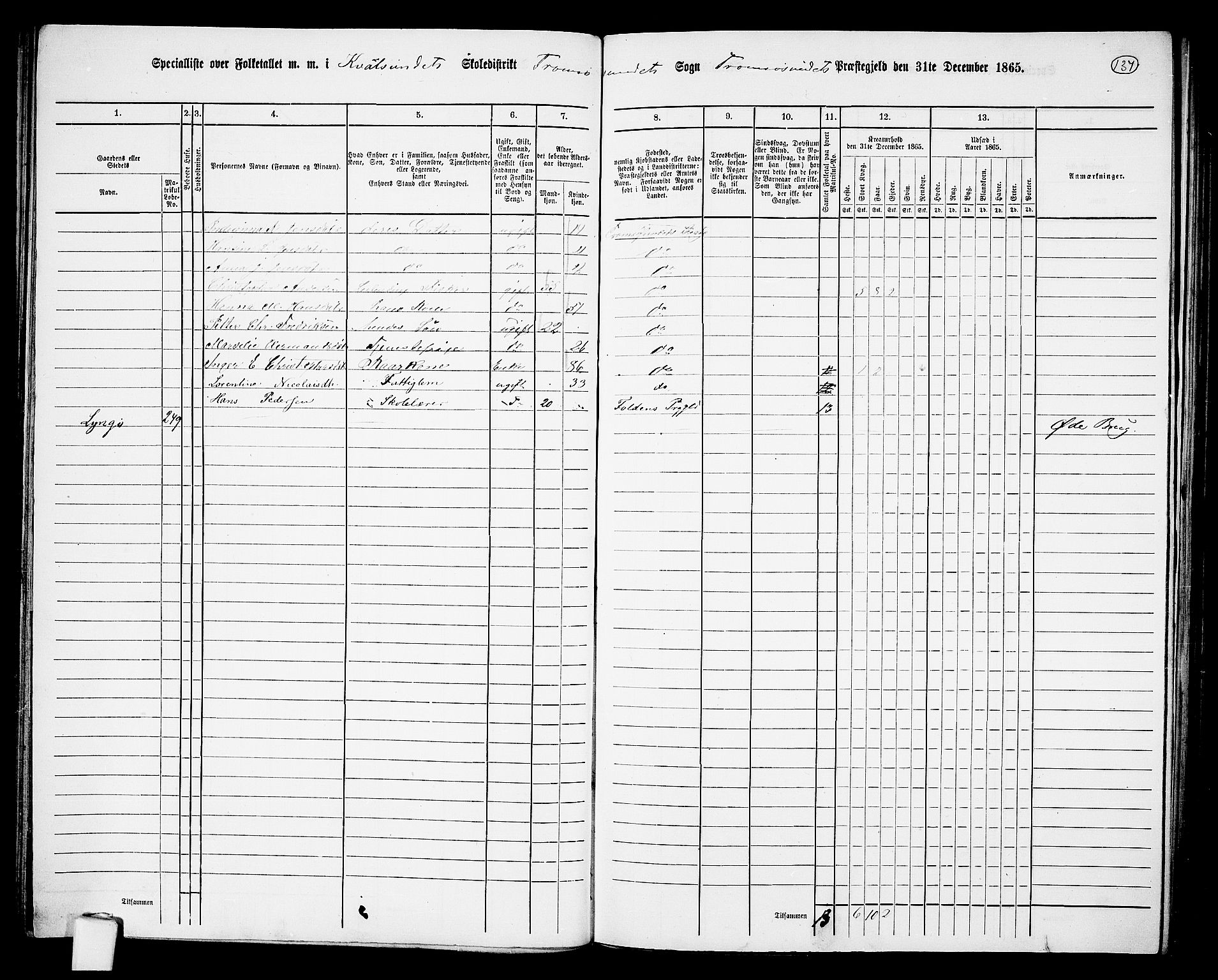 RA, 1865 census for Tromsøysund, 1865, p. 115