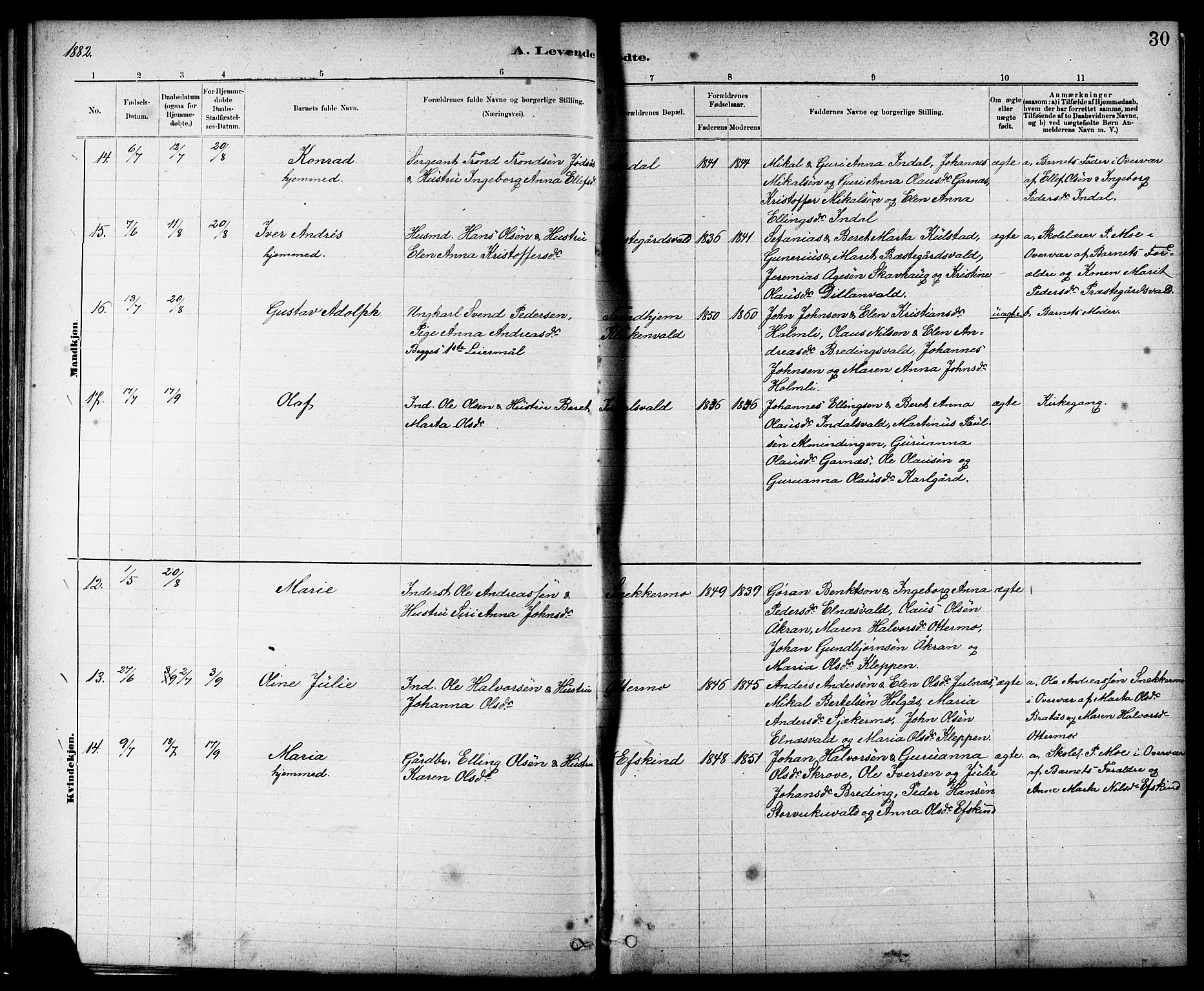 Ministerialprotokoller, klokkerbøker og fødselsregistre - Nord-Trøndelag, AV/SAT-A-1458/724/L0267: Parish register (copy) no. 724C03, 1879-1898, p. 30