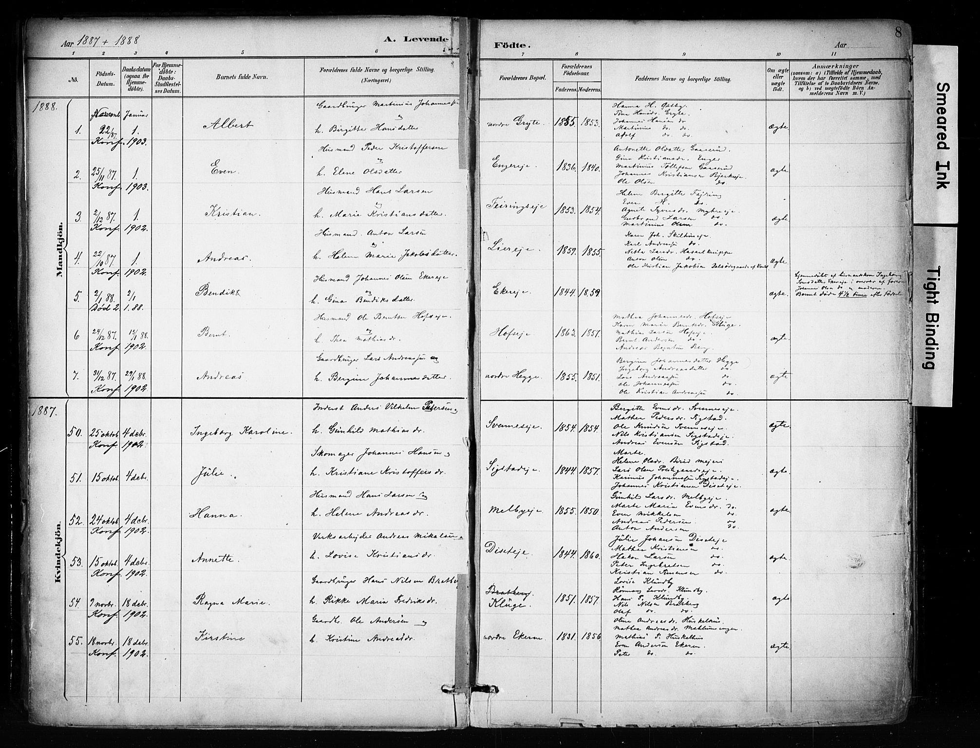 Biri prestekontor, SAH/PREST-096/H/Ha/Haa/L0009: Parish register (official) no. 9, 1887-1900, p. 8