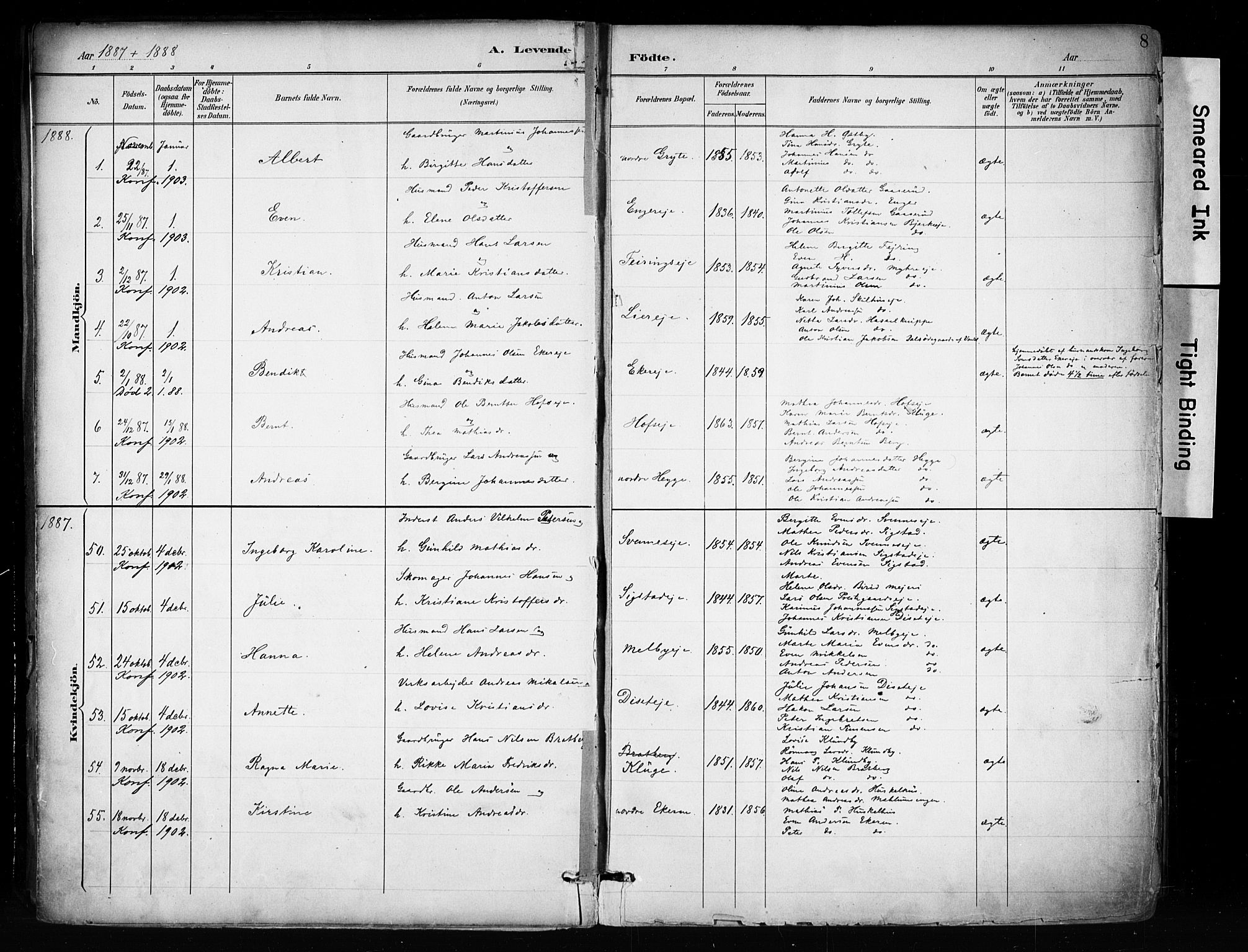 Biri prestekontor, AV/SAH-PREST-096/H/Ha/Haa/L0009: Parish register (official) no. 9, 1887-1900, p. 8