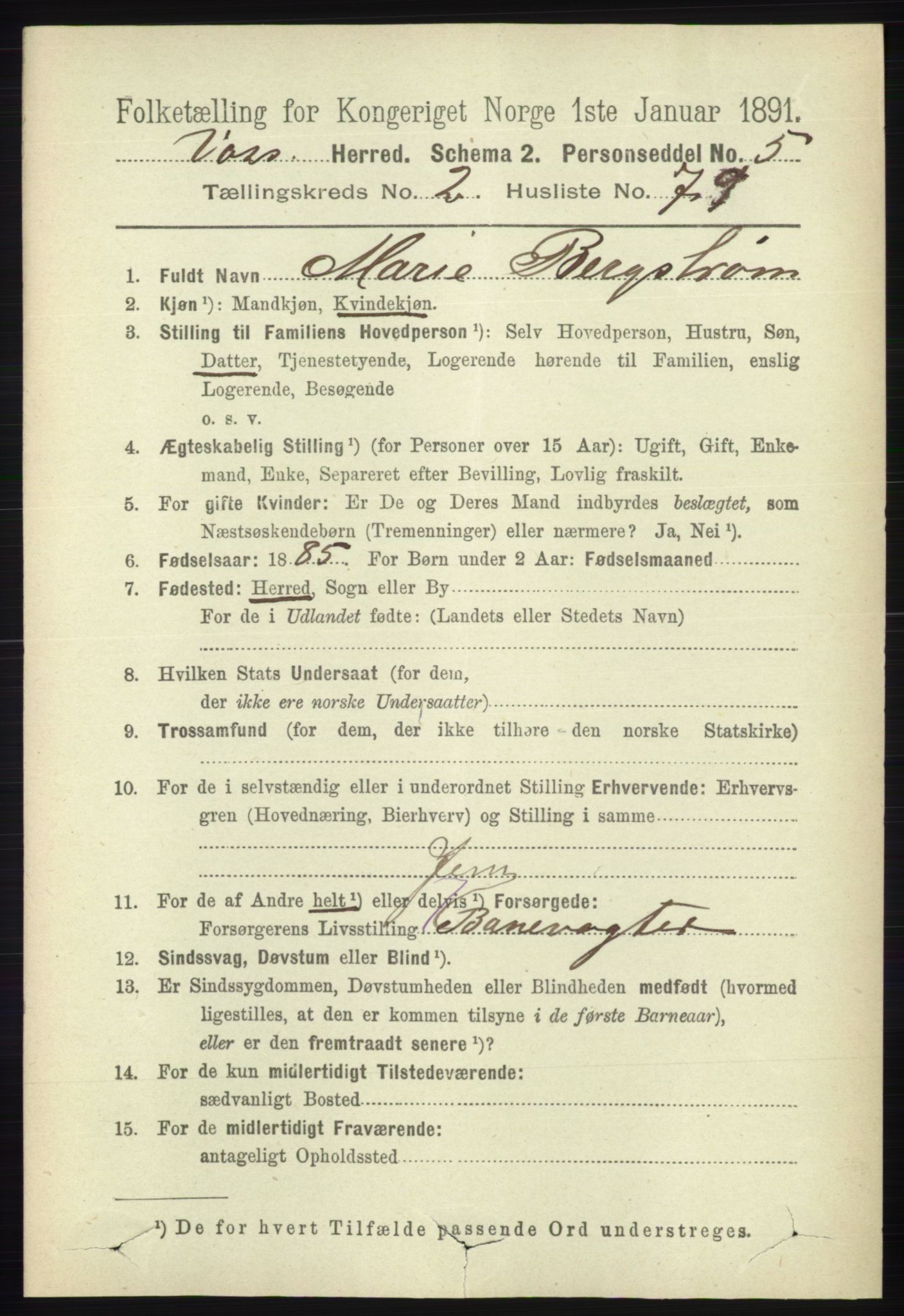 RA, 1891 census for 1235 Voss, 1891, p. 1124