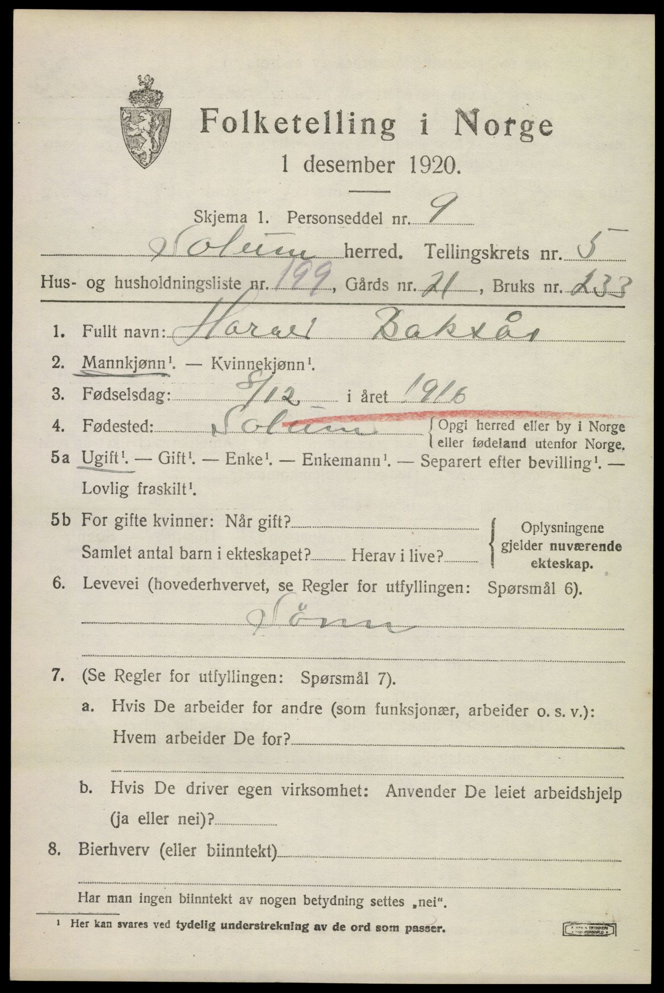 SAKO, 1920 census for Solum, 1920, p. 13160