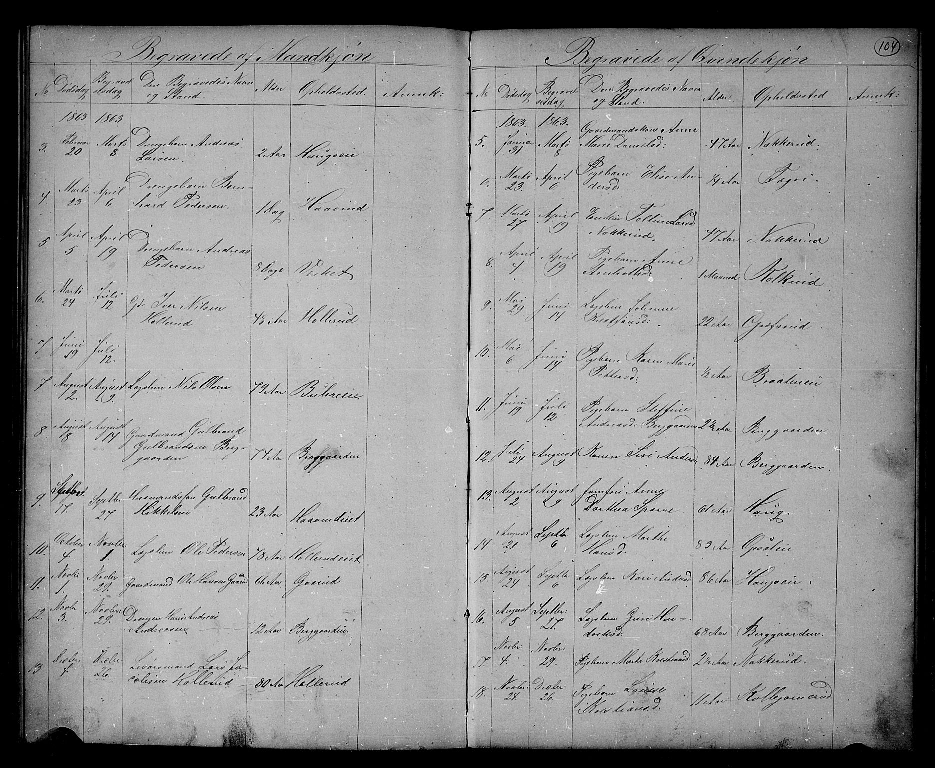 Hole kirkebøker, SAKO/A-228/G/Gb/L0001: Parish register (copy) no. II 1, 1859-1878, p. 104