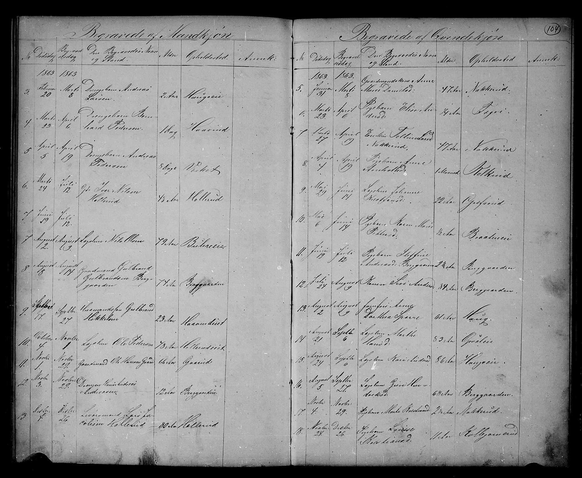 Hole kirkebøker, AV/SAKO-A-228/G/Gb/L0001: Parish register (copy) no. II 1, 1859-1878, p. 104