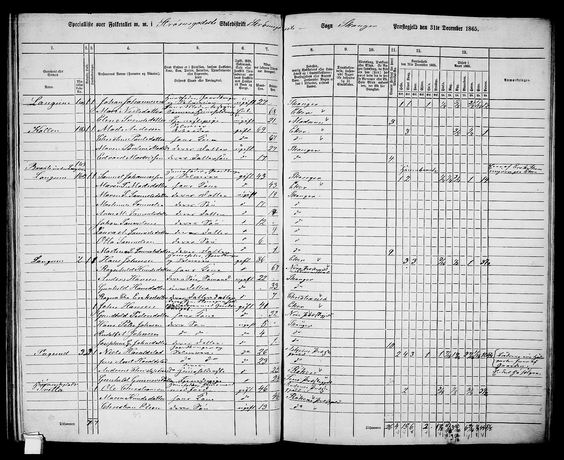 RA, 1865 census for Skoger, 1865, p. 116