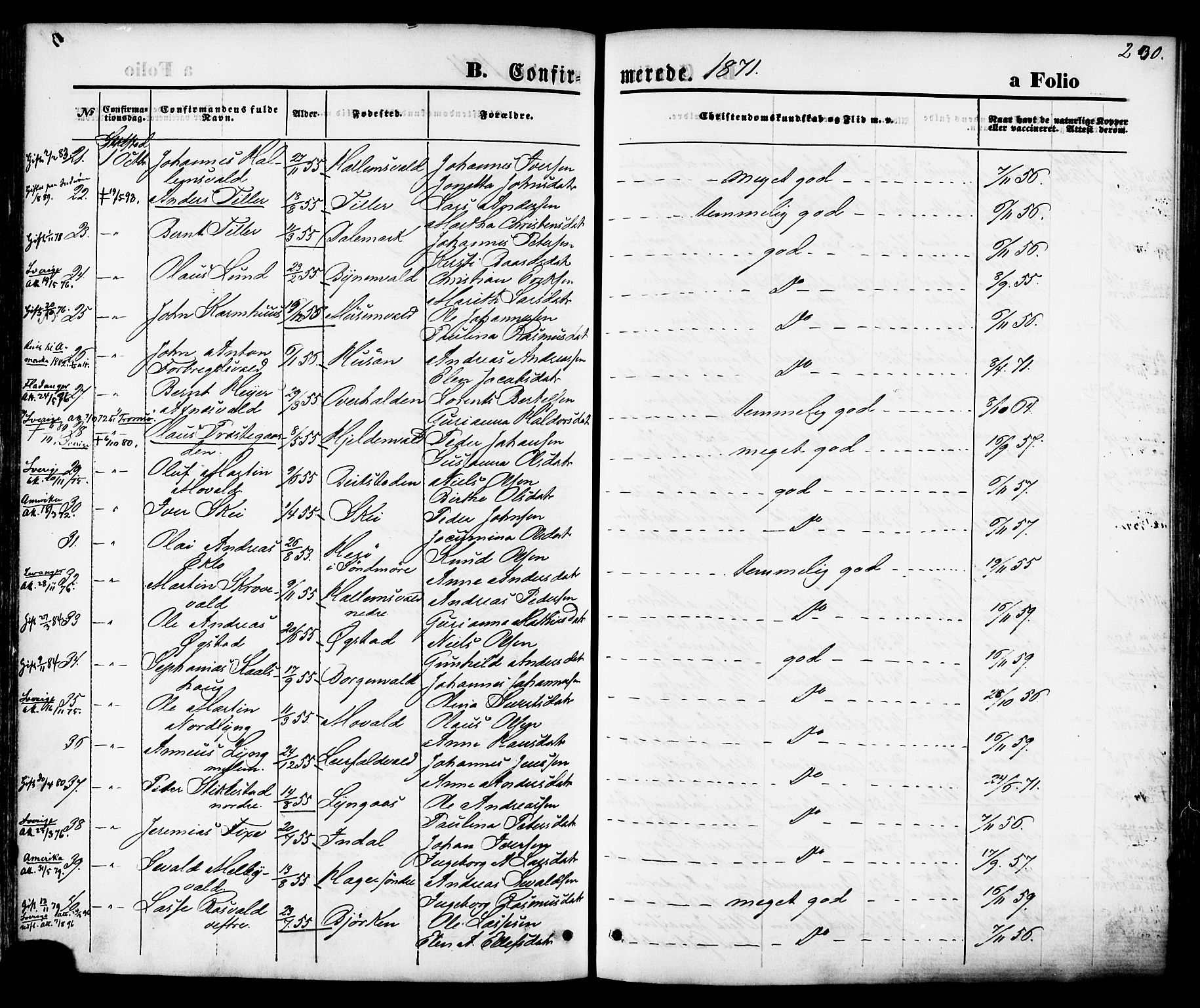 Ministerialprotokoller, klokkerbøker og fødselsregistre - Nord-Trøndelag, SAT/A-1458/723/L0242: Parish register (official) no. 723A11, 1870-1880, p. 230