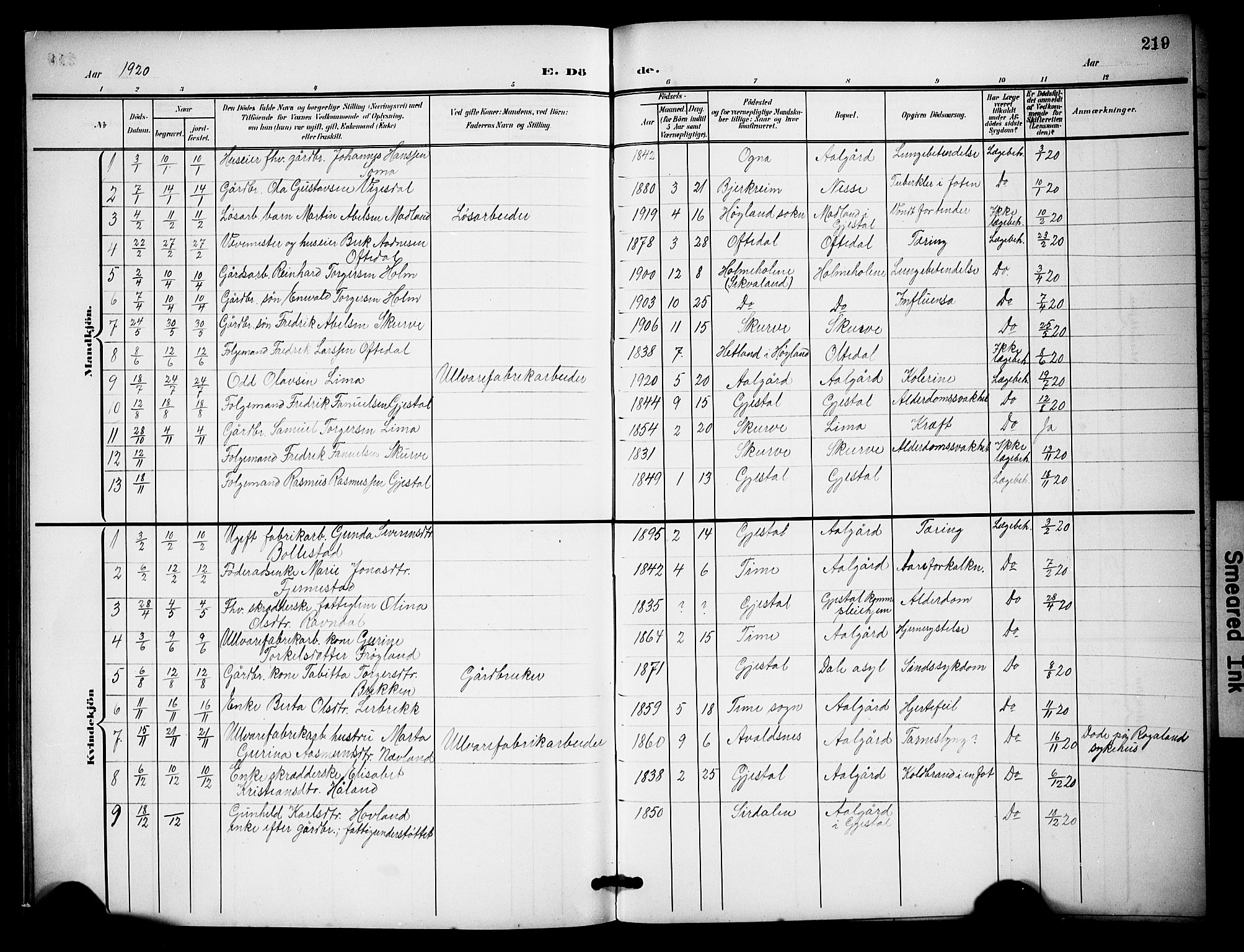 Lye sokneprestkontor, SAST/A-101794/001/30BB/L0009: Parish register (copy) no. B 9, 1902-1923, p. 219