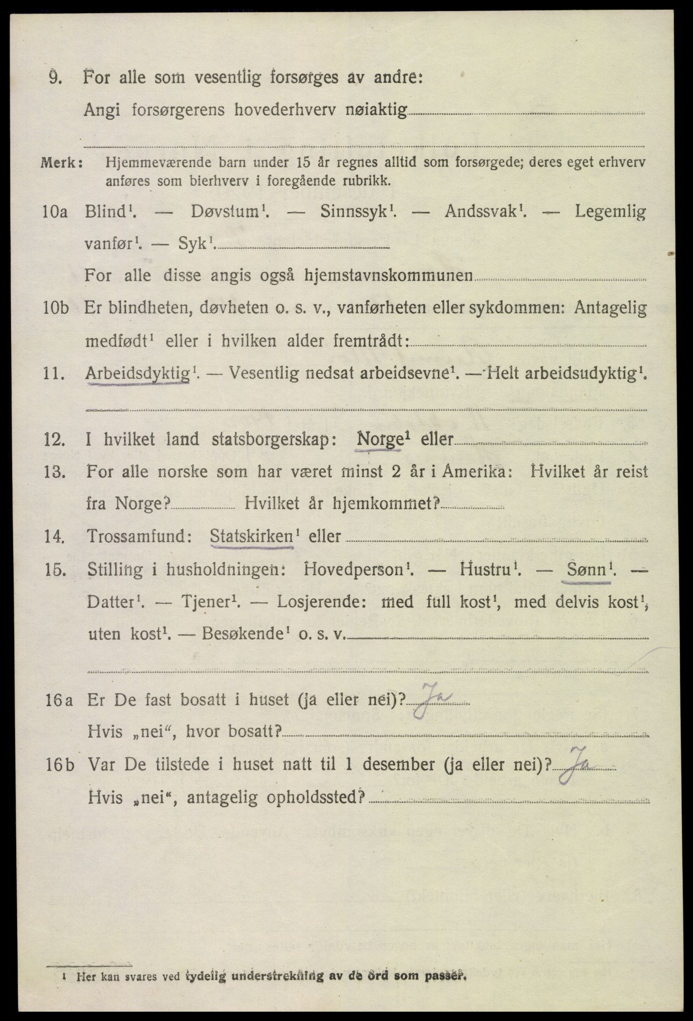 SAK, 1920 census for Hornnes, 1920, p. 2842