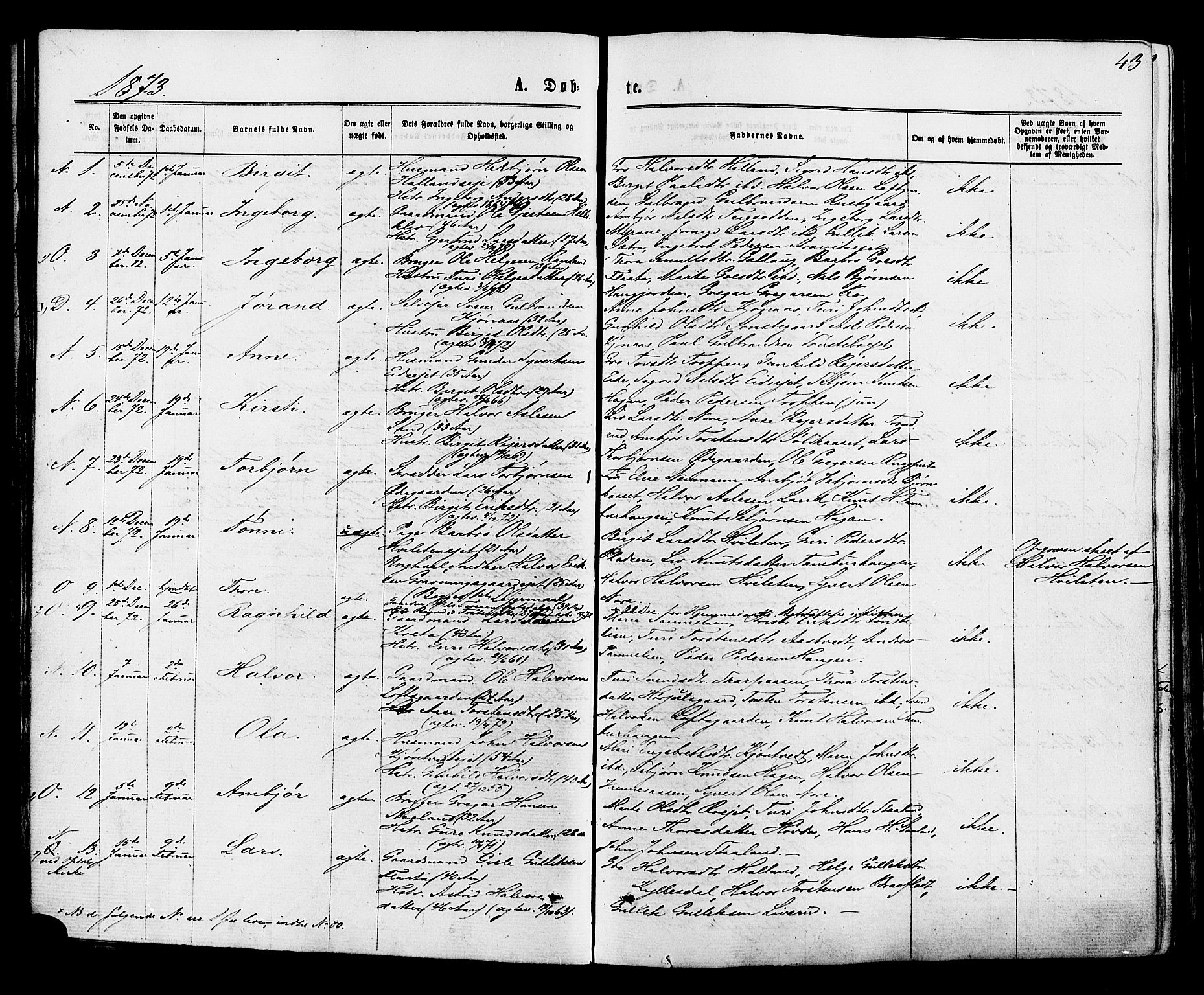 Nore kirkebøker, SAKO/A-238/F/Fa/L0004: Parish register (official) no. I 4, 1867-1877, p. 43