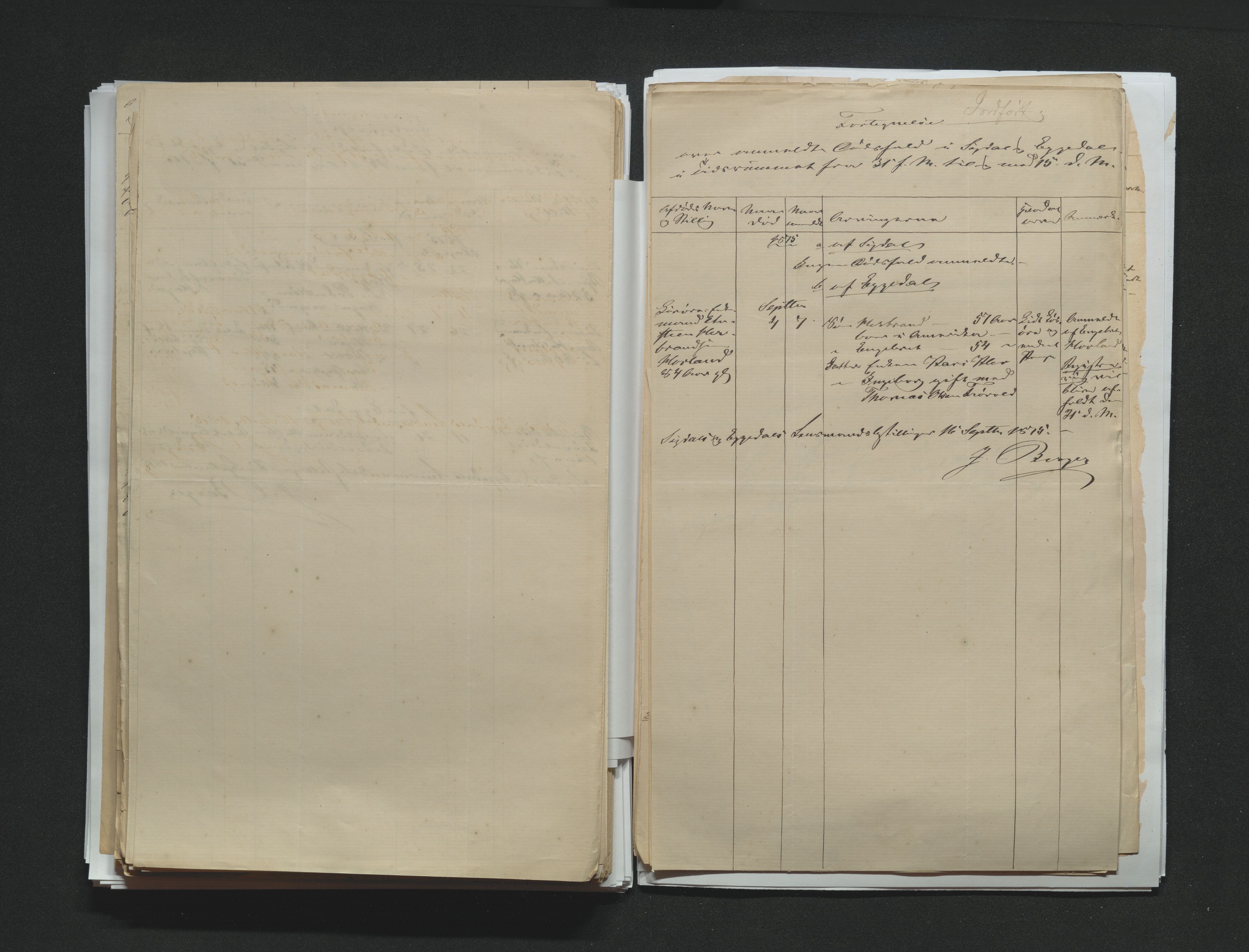 Eiker, Modum og Sigdal sorenskriveri, AV/SAKO-A-123/H/Ha/Hab/L0014: Dødsfallsmeldinger, 1874-1877, p. 305