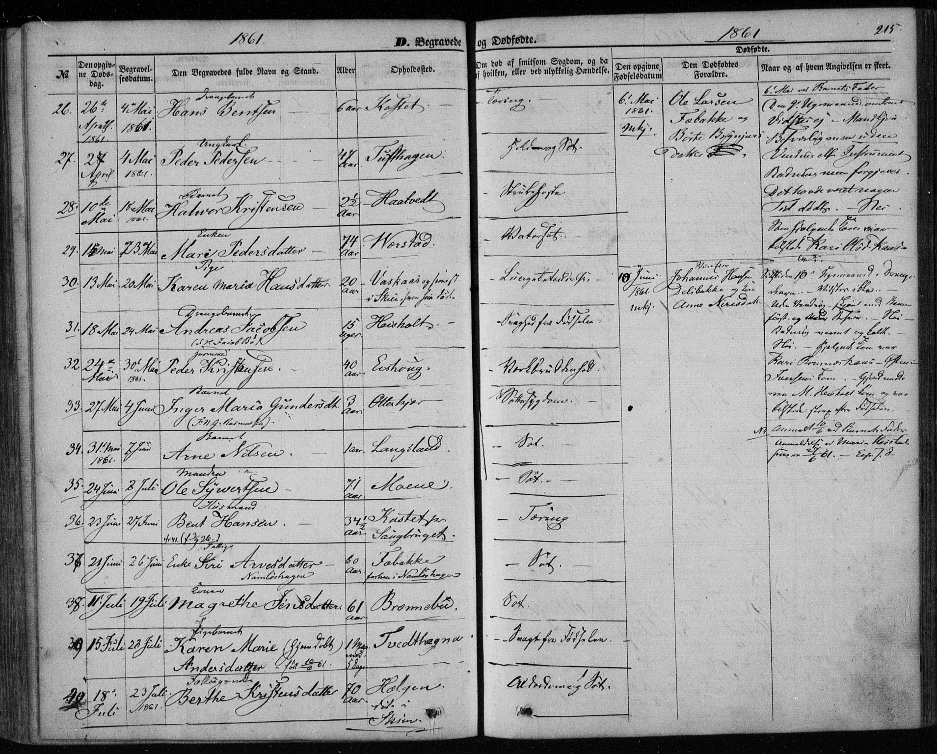 Holla kirkebøker, AV/SAKO-A-272/F/Fa/L0006: Parish register (official) no. 6, 1861-1869, p. 215