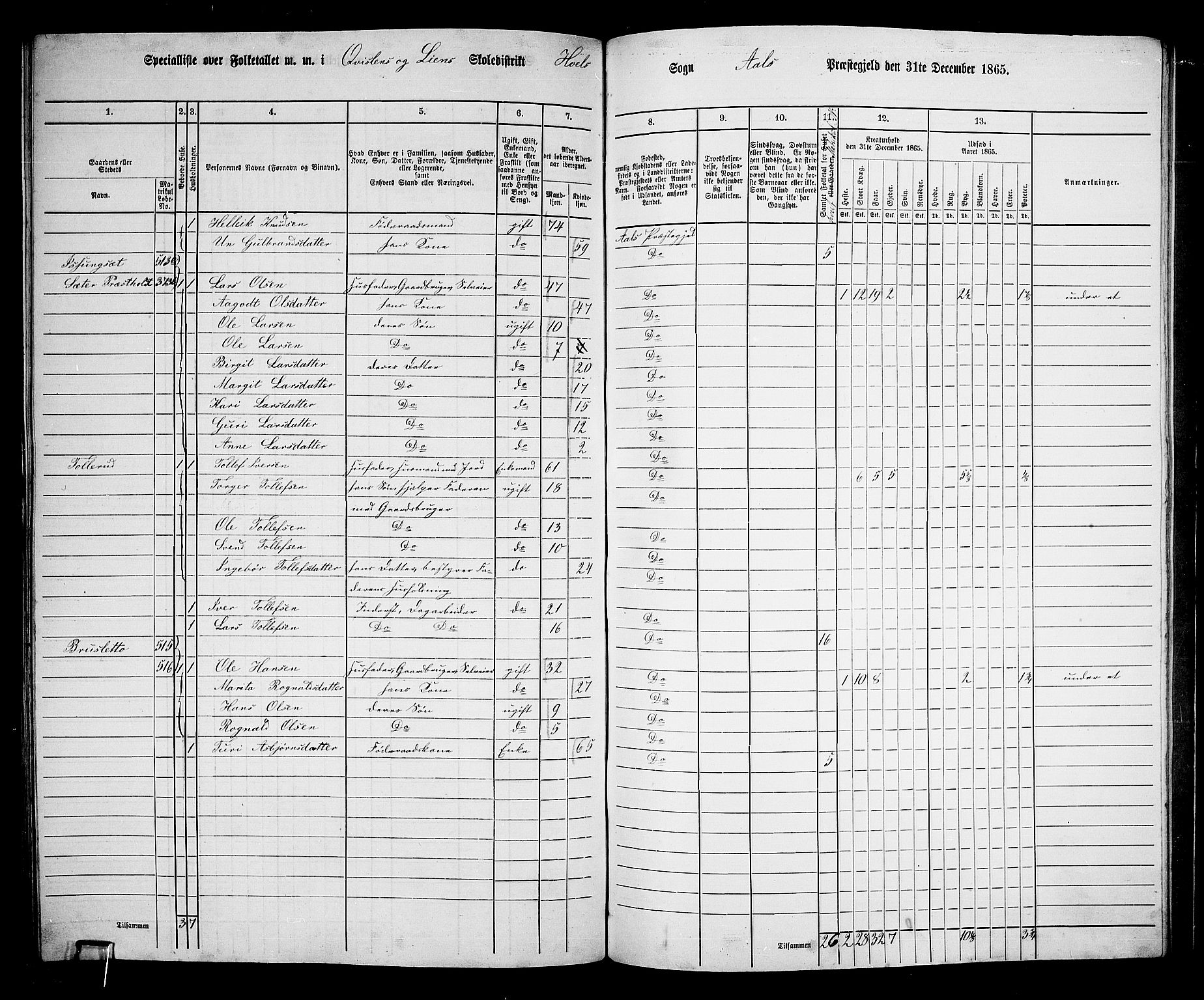 RA, 1865 census for Ål, 1865, p. 236