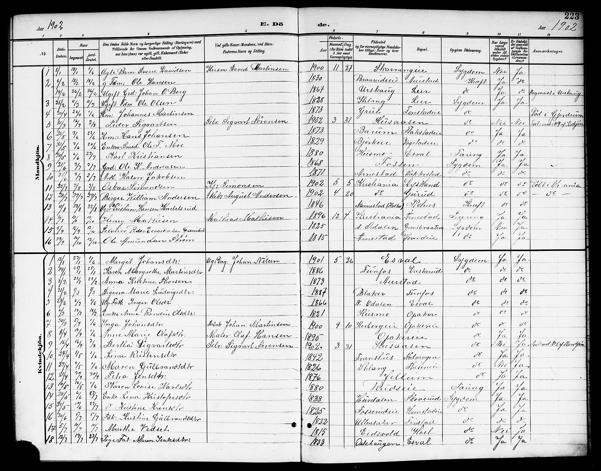 Nes prestekontor Kirkebøker, SAO/A-10410/G/Ga/L0002: Parish register (copy) no. I 2, 1901-1912, p. 223