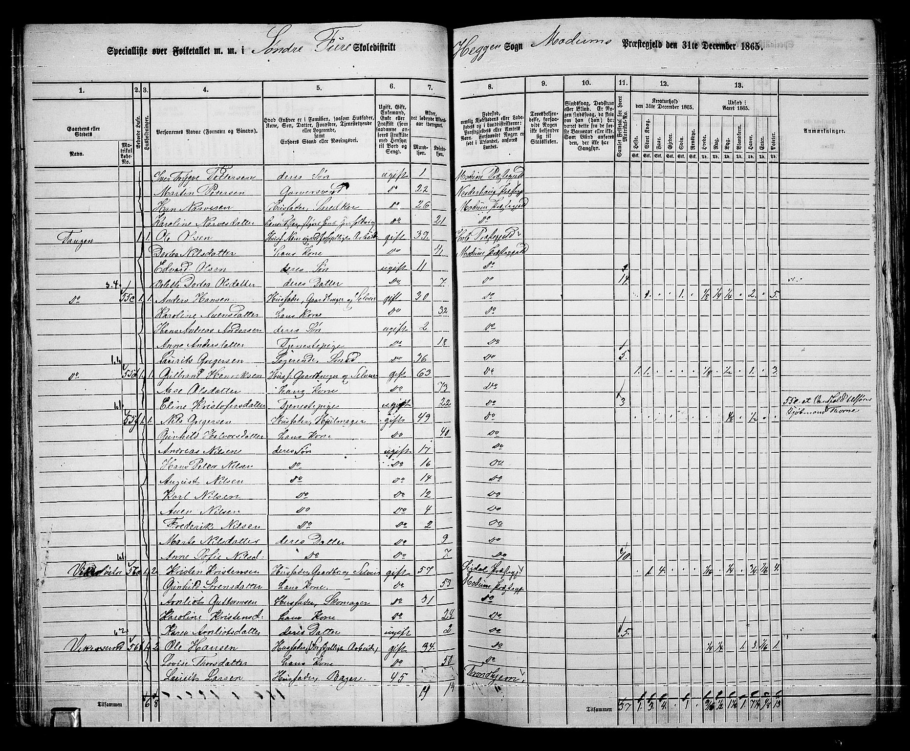 RA, 1865 census for Modum, 1865, p. 50