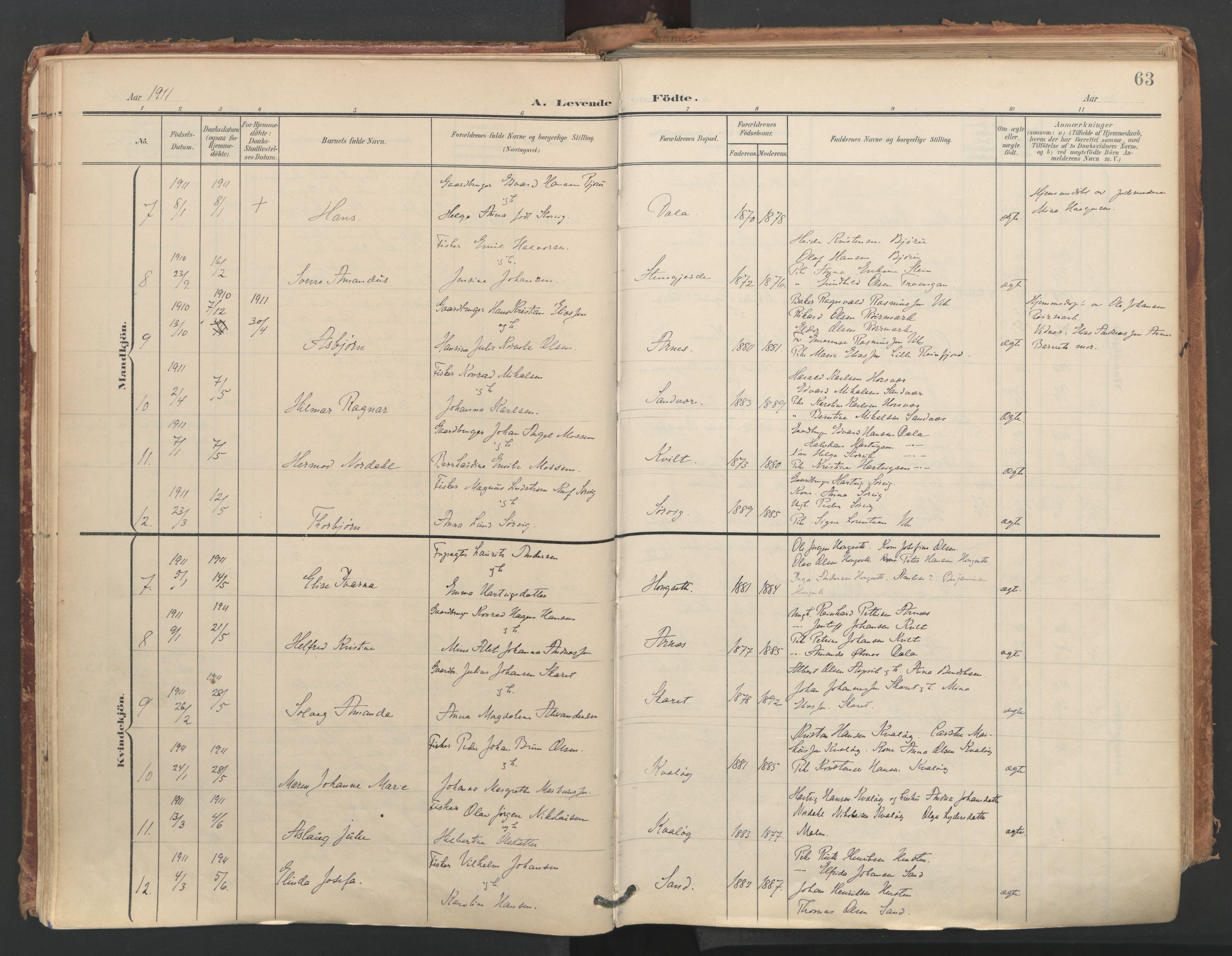 Ministerialprotokoller, klokkerbøker og fødselsregistre - Nordland, AV/SAT-A-1459/812/L0180: Parish register (official) no. 812A09, 1901-1915, p. 63