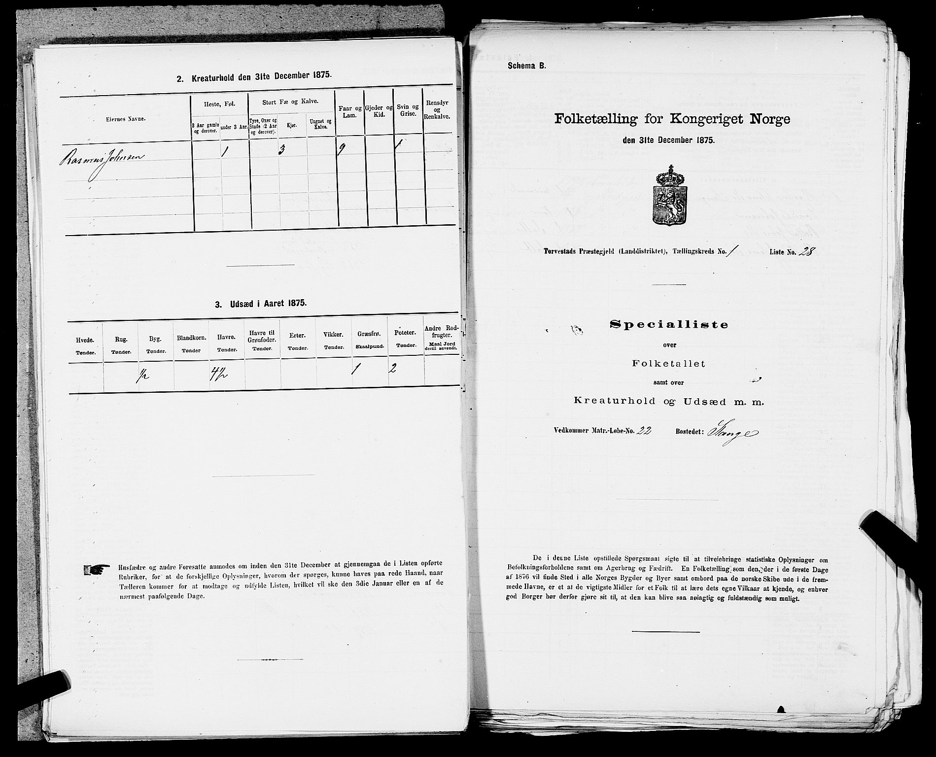SAST, 1875 census for 1152L Torvastad/Torvastad, Skåre og Utsira, 1875, p. 117