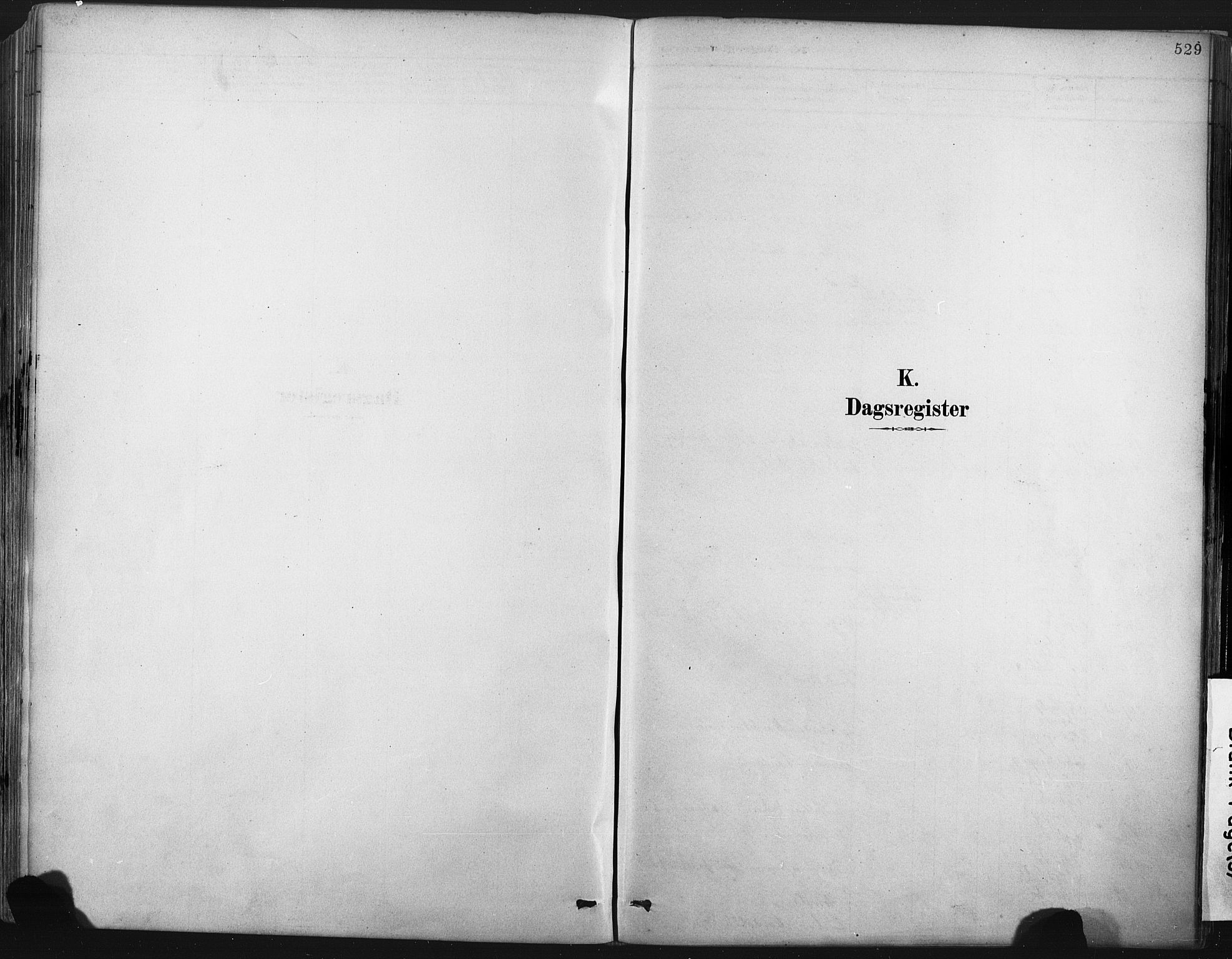 Porsgrunn kirkebøker , SAKO/A-104/F/Fa/L0008: Parish register (official) no. 8, 1878-1895, p. 529