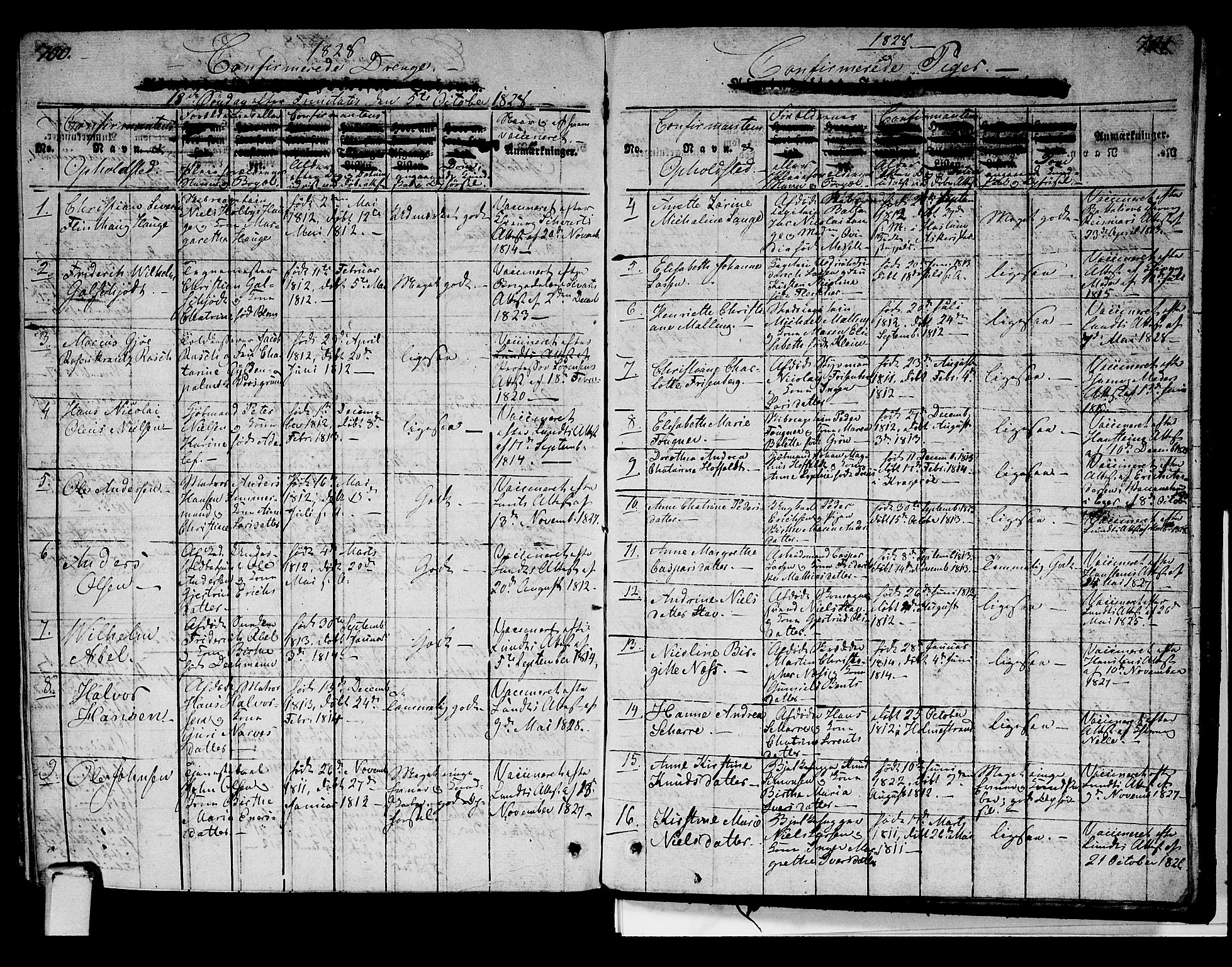 Strømsø kirkebøker, AV/SAKO-A-246/G/Ga/L0001: Parish register (copy) no. 1, 1815-1829, p. 700-701