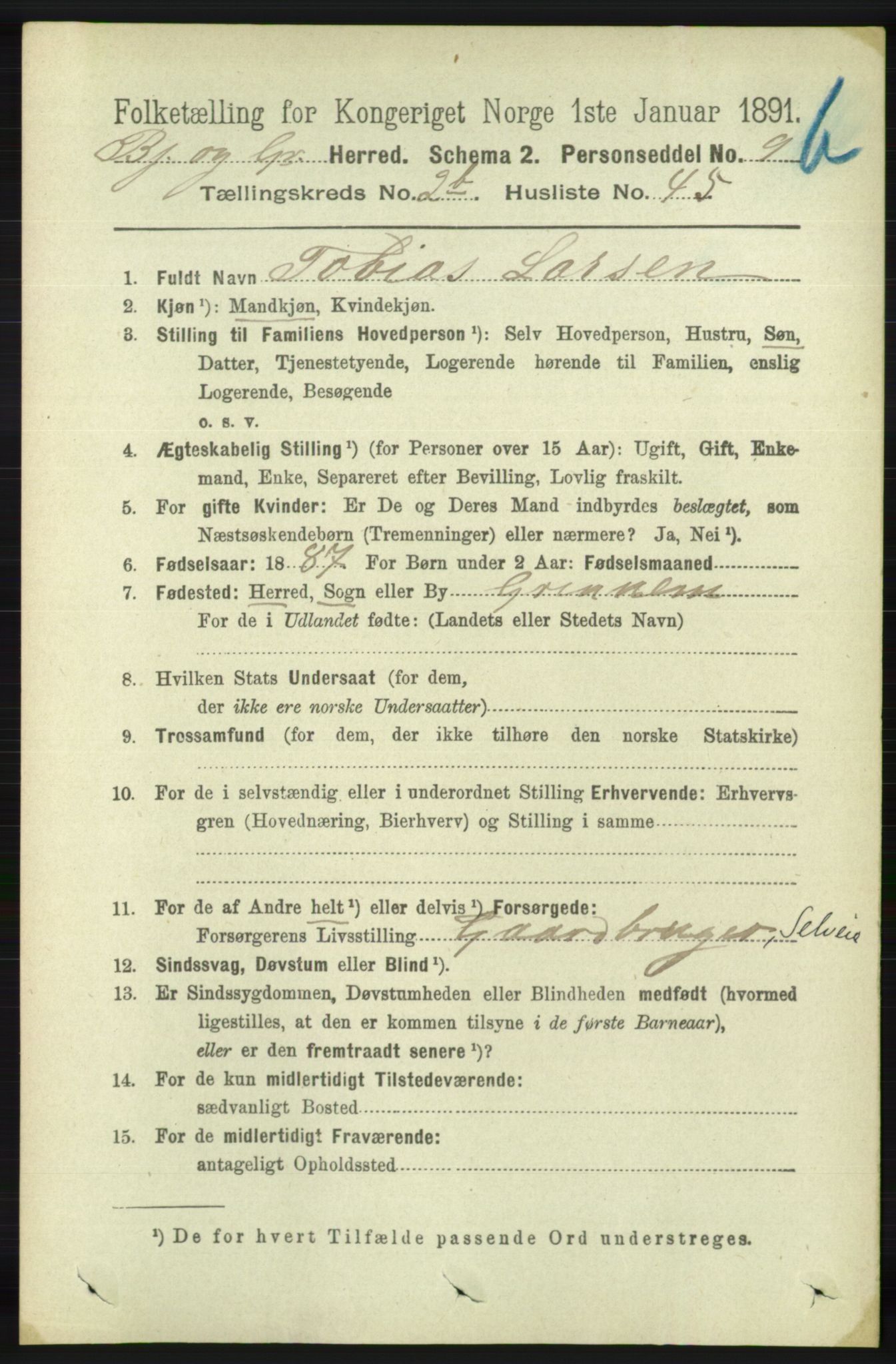 RA, 1891 census for 1024 Bjelland og Grindheim, 1891, p. 581