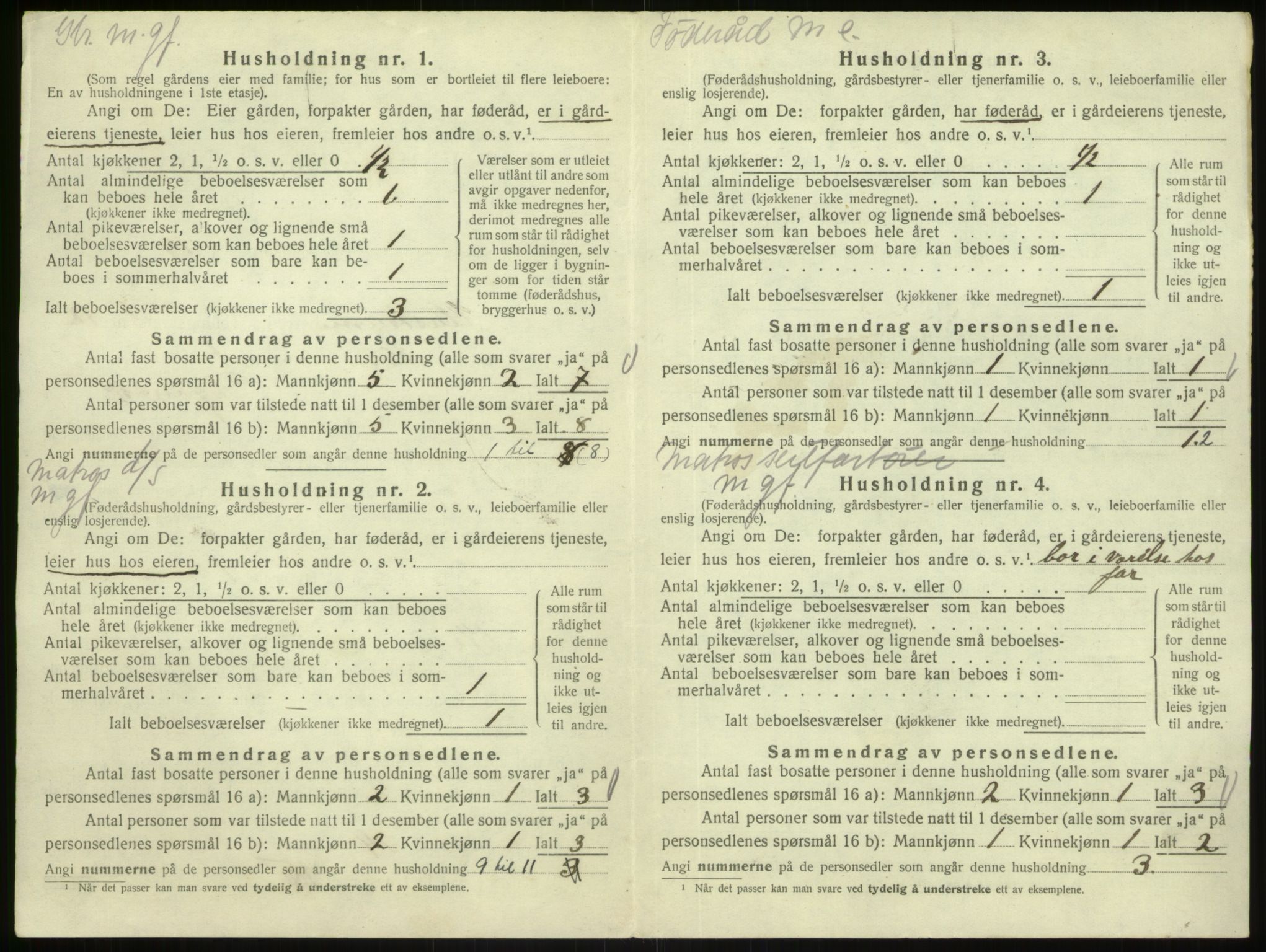 SAB, 1920 census for Austrheim, 1920, p. 619