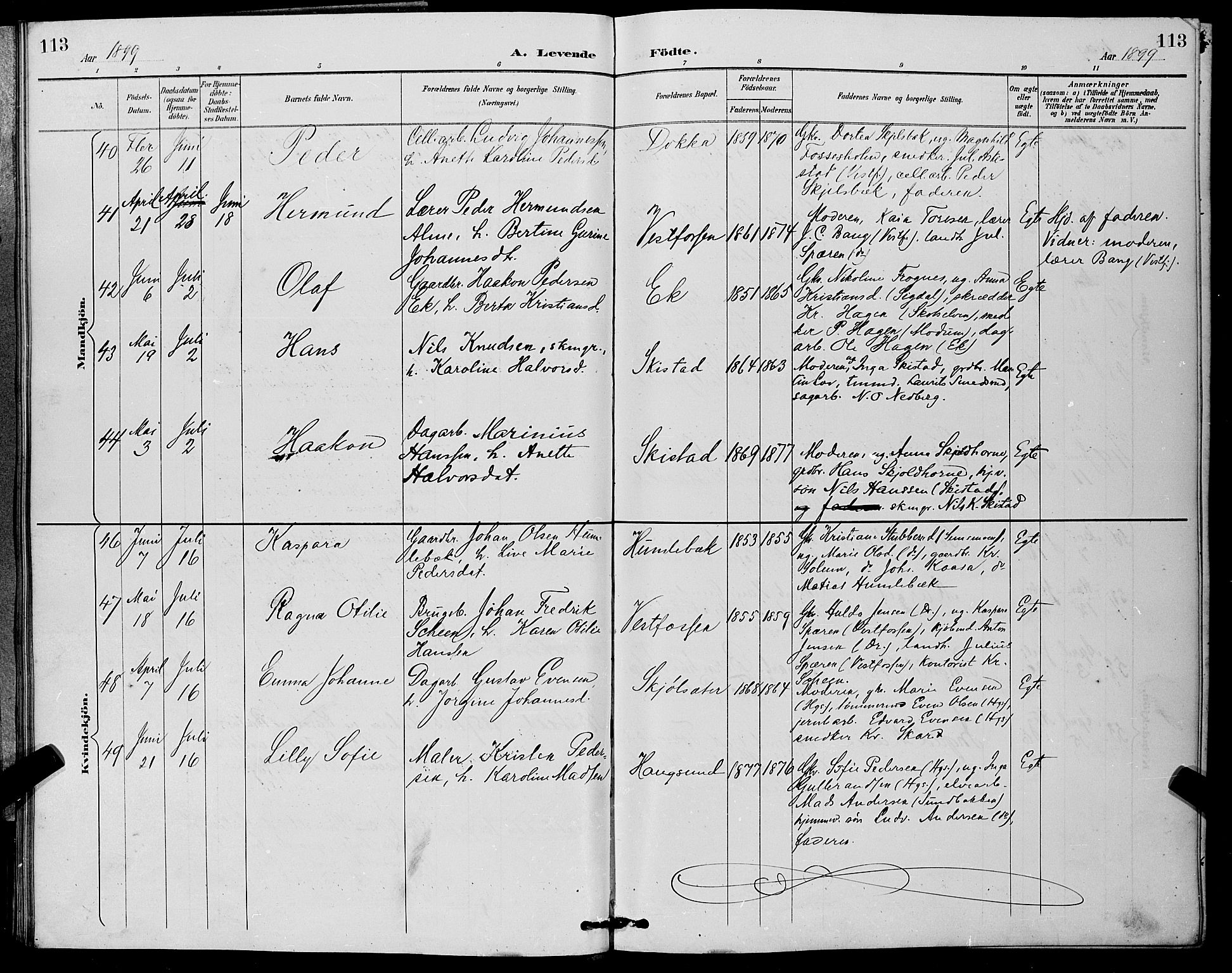 Eiker kirkebøker, AV/SAKO-A-4/G/Ga/L0007: Parish register (copy) no. I 7, 1893-1902, p. 113