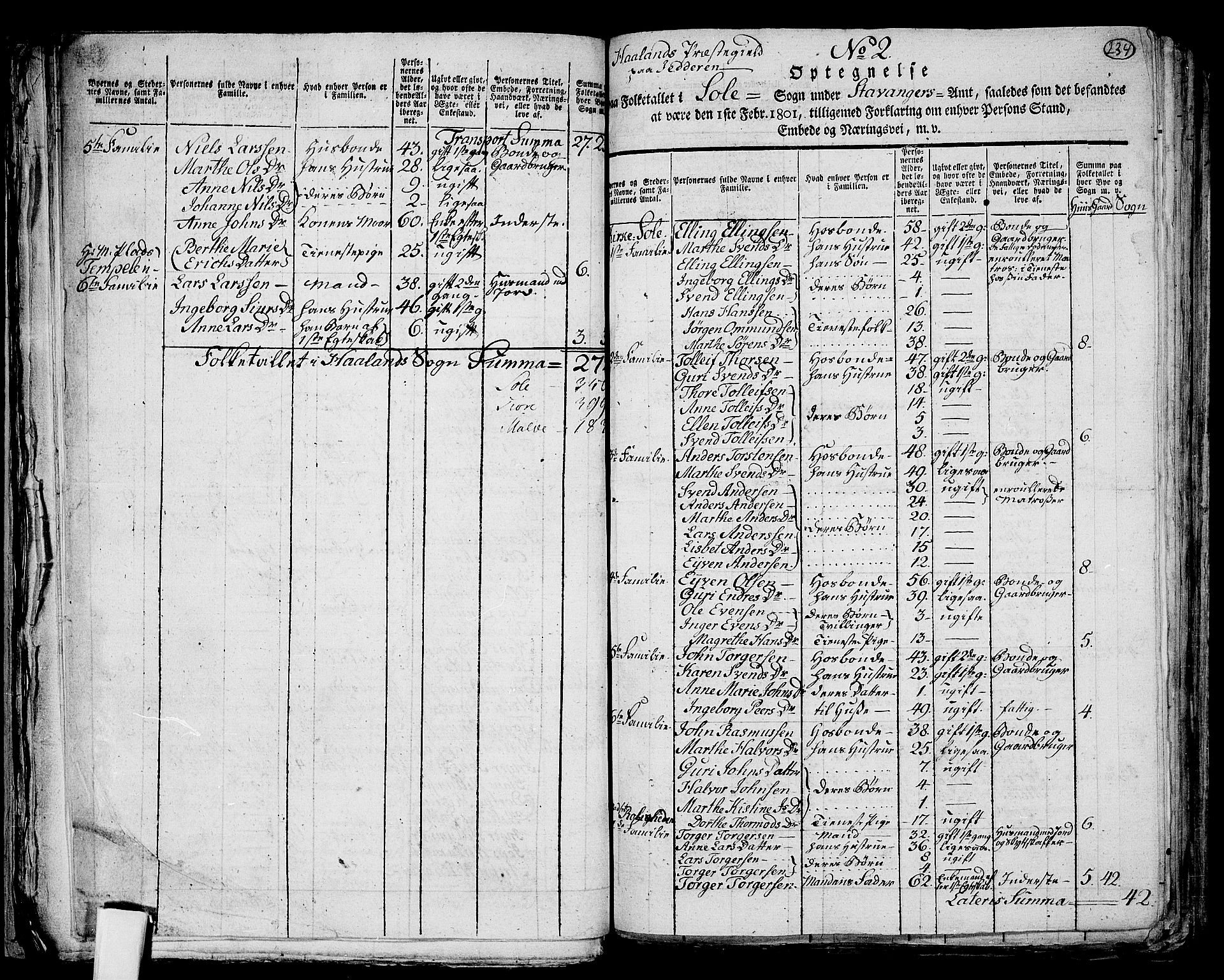 RA, 1801 census for 1124P Håland, 1801, p. 233b-234a