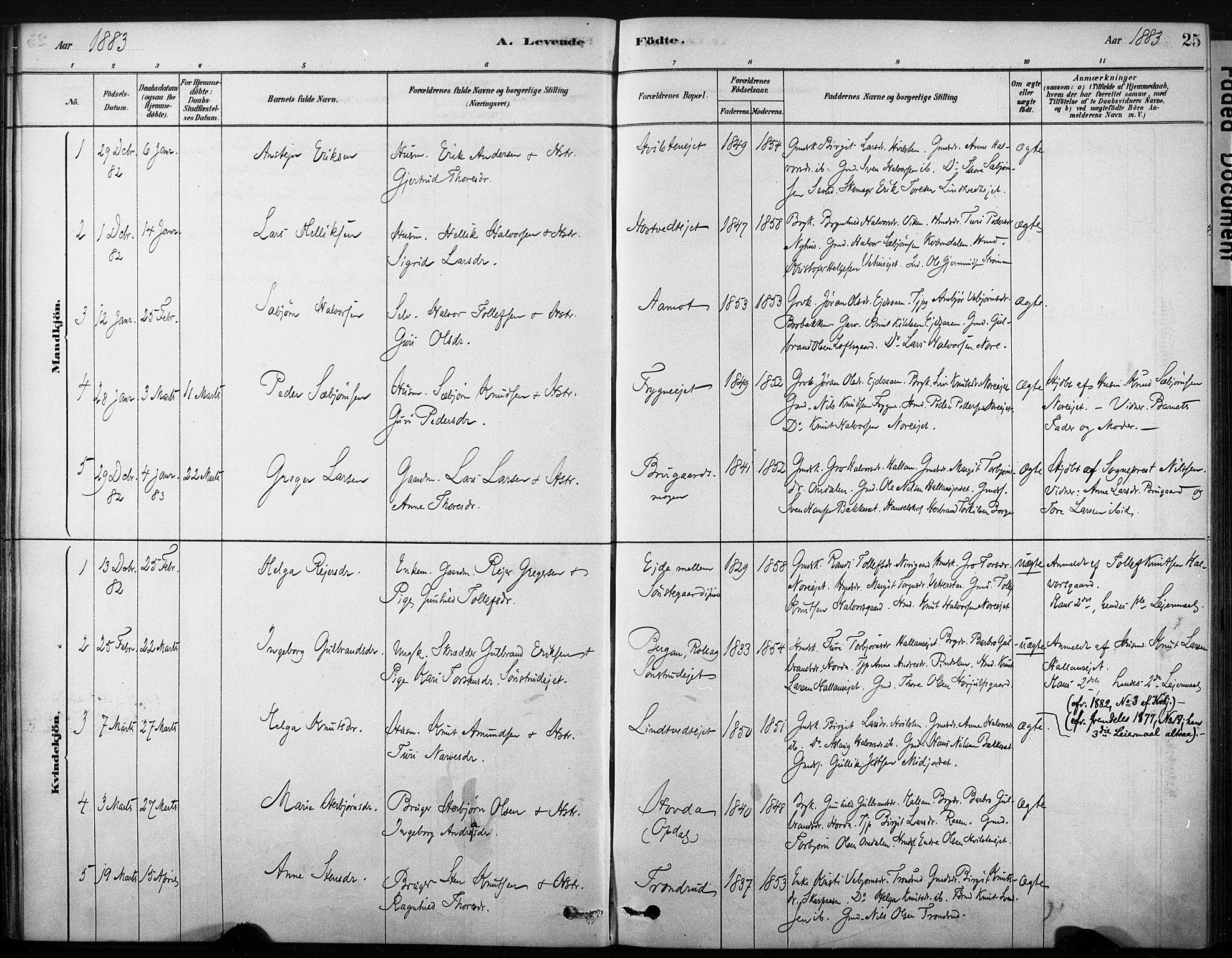 Nore kirkebøker, AV/SAKO-A-238/F/Fb/L0001: Parish register (official) no. II 1, 1878-1886, p. 25