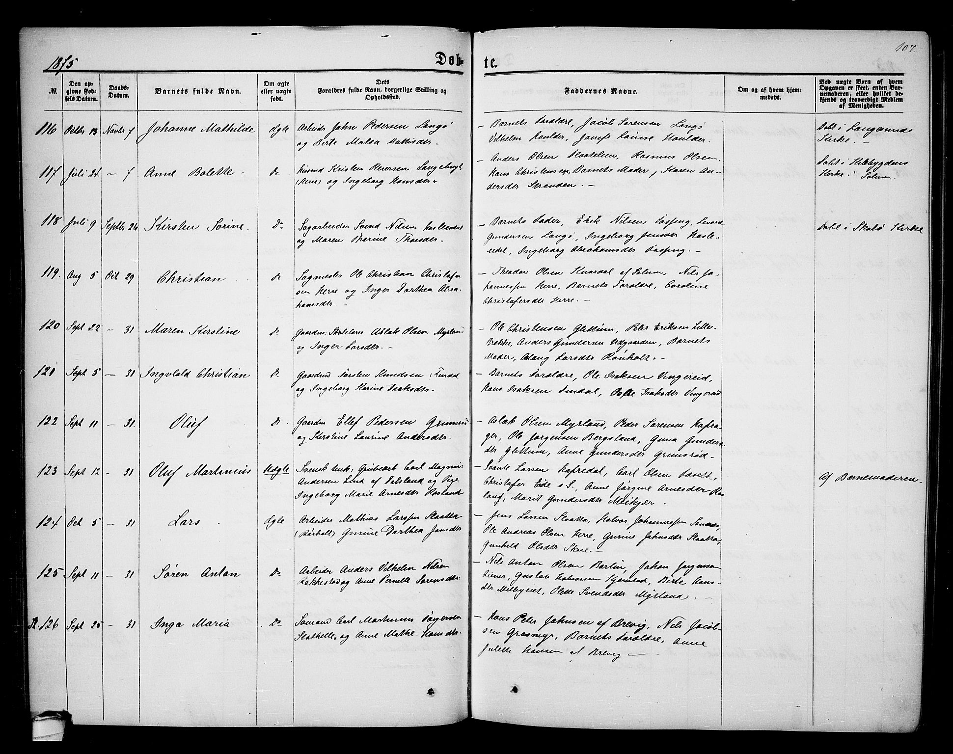 Bamble kirkebøker, AV/SAKO-A-253/G/Ga/L0006: Parish register (copy) no. I 6, 1860-1876, p. 107