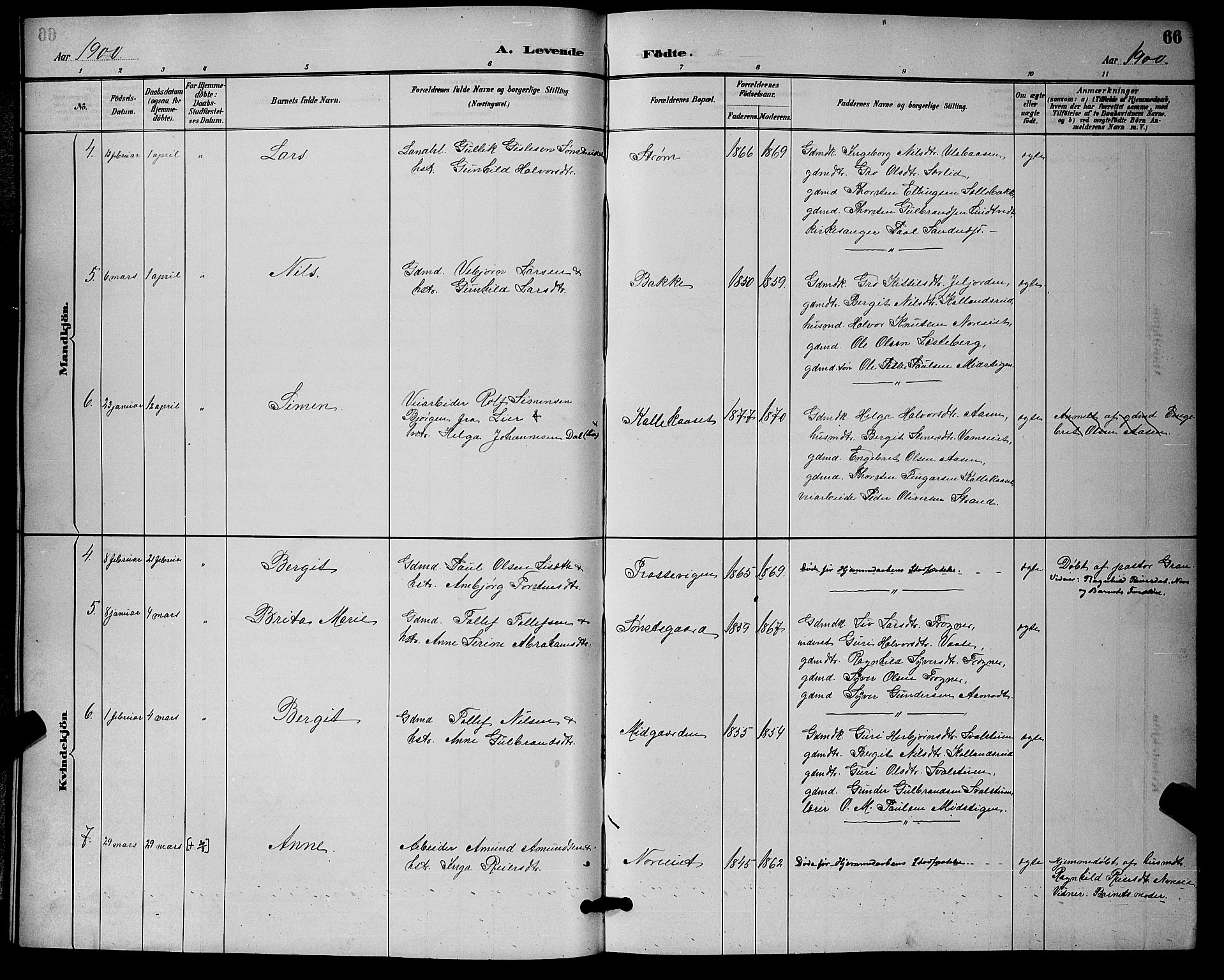 Nore kirkebøker, SAKO/A-238/G/Ga/L0003: Parish register (copy) no. I 3, 1886-1903, p. 66