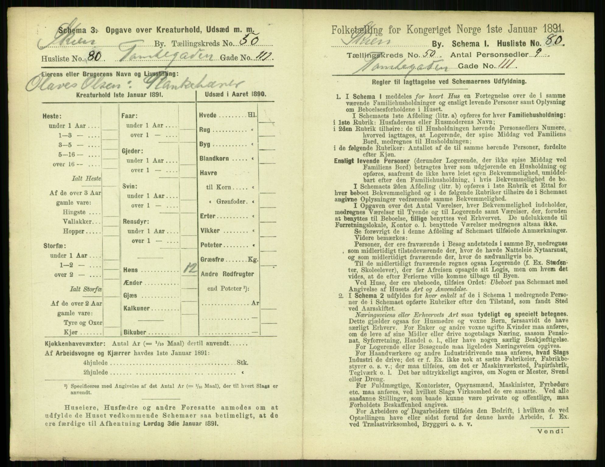 RA, 1891 census for 0806 Skien, 1891, p. 2138