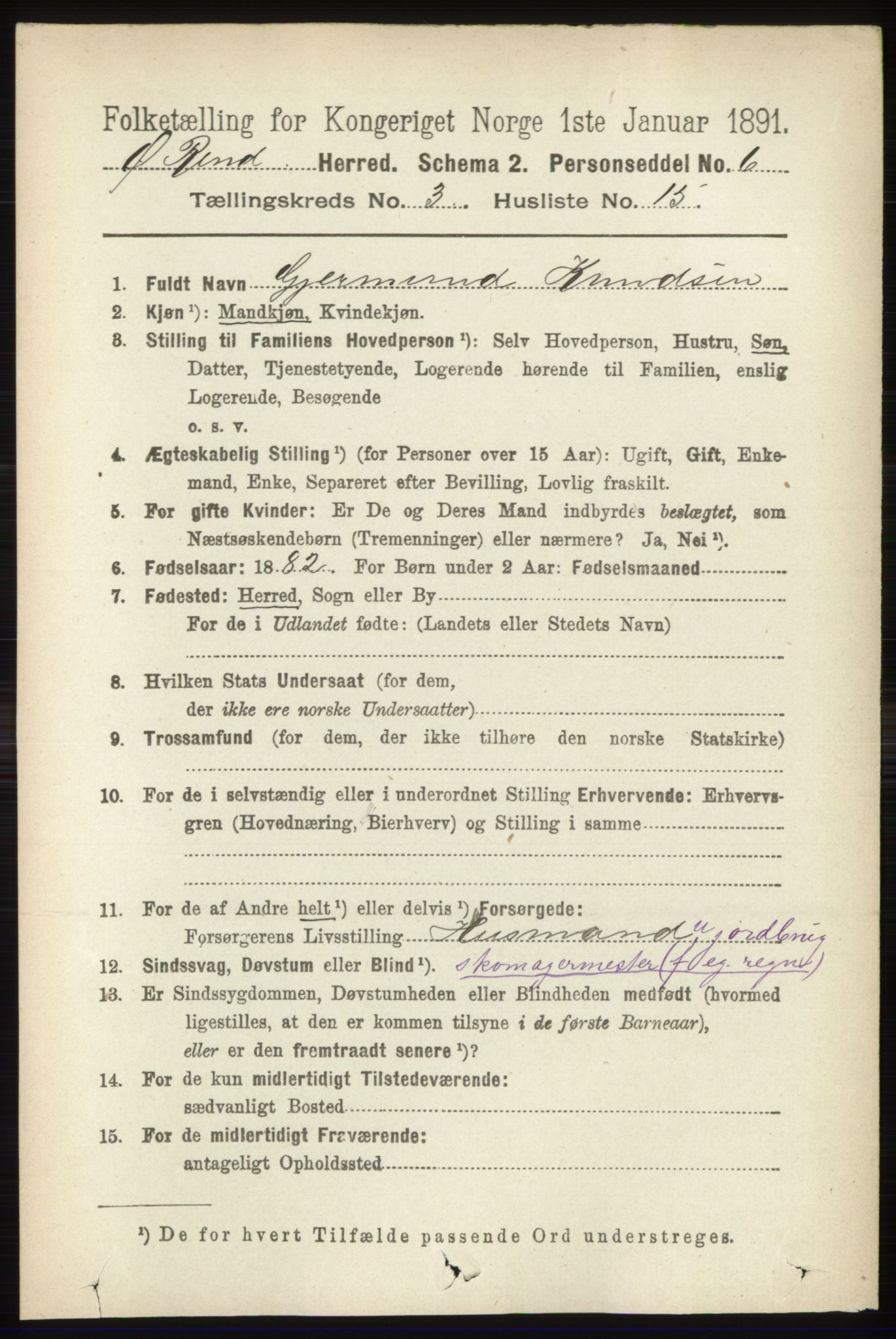 RA, 1891 census for 0433 Øvre Rendal, 1891, p. 919