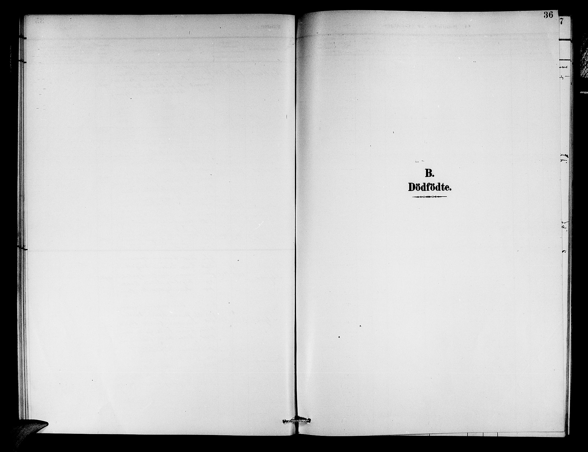 Aurland sokneprestembete, AV/SAB-A-99937/H/Hb/Hbc/L0002: Parish register (copy) no. C 2, 1883-1900, p. 36